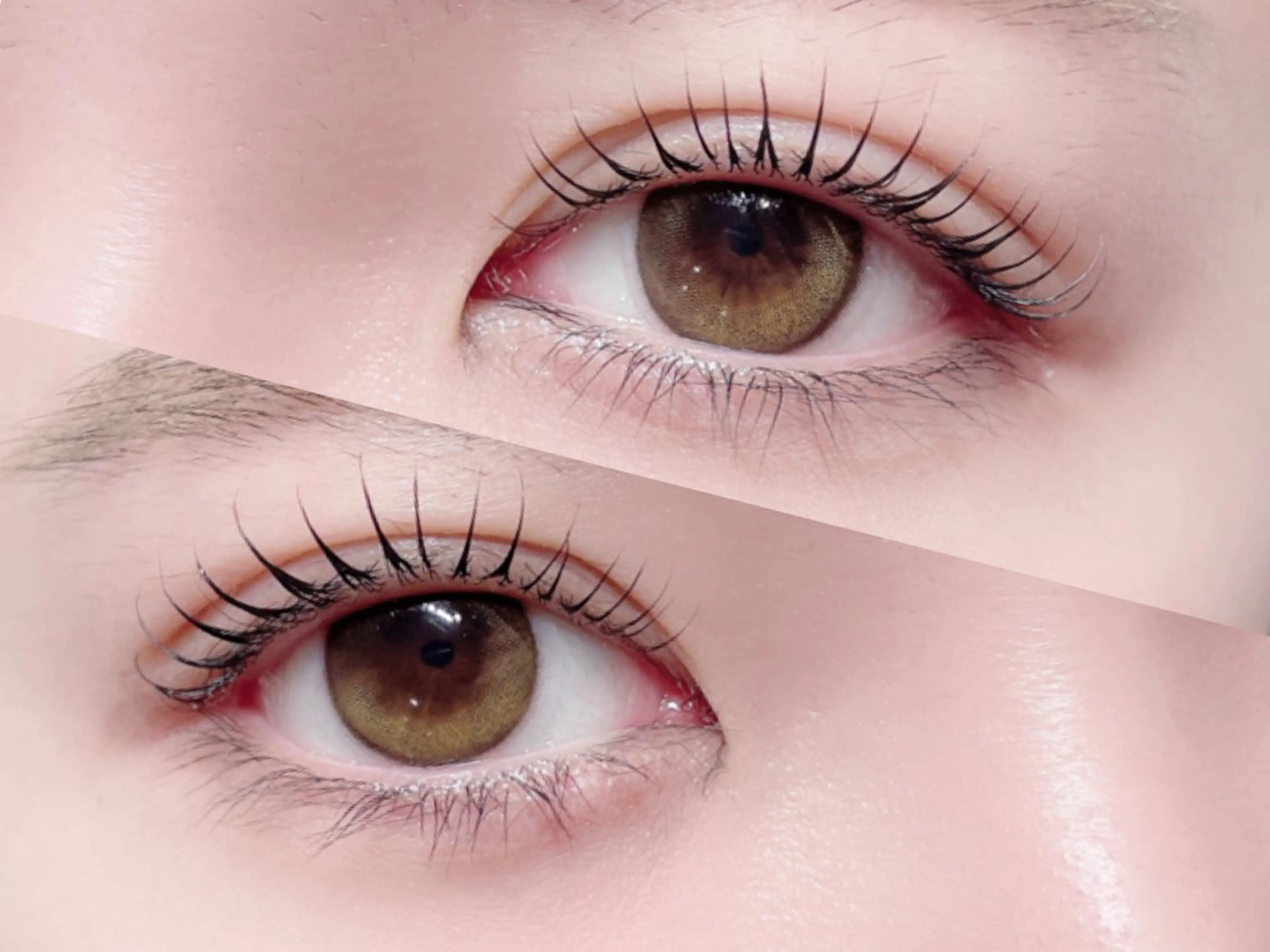 ♡̴.˚🌟人気🏅No.1 🌟.˚ ♡̴まつ毛パーマ+高濃度トリートメント付️🫧の写真