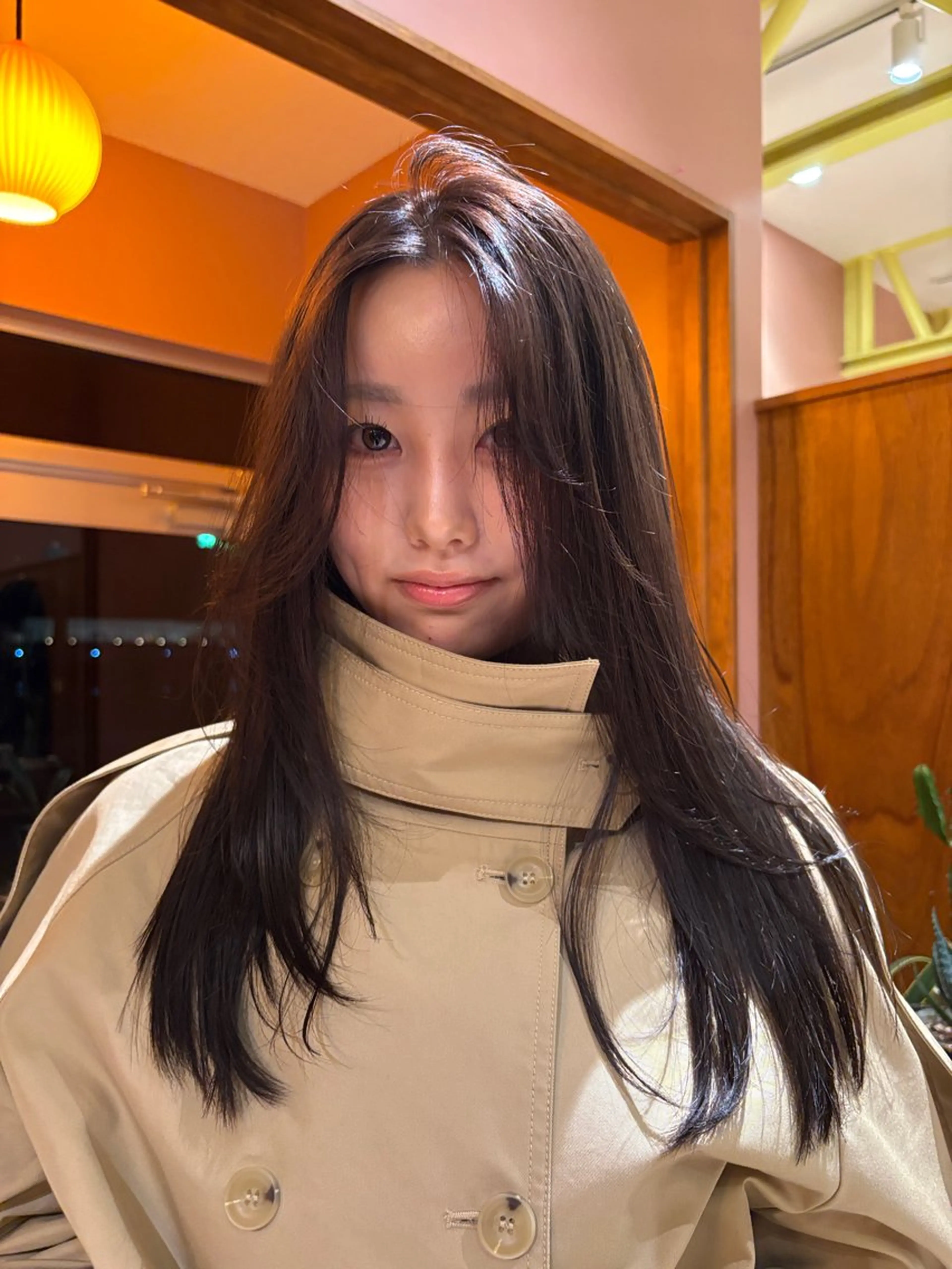 シングルカラー🧠の写真