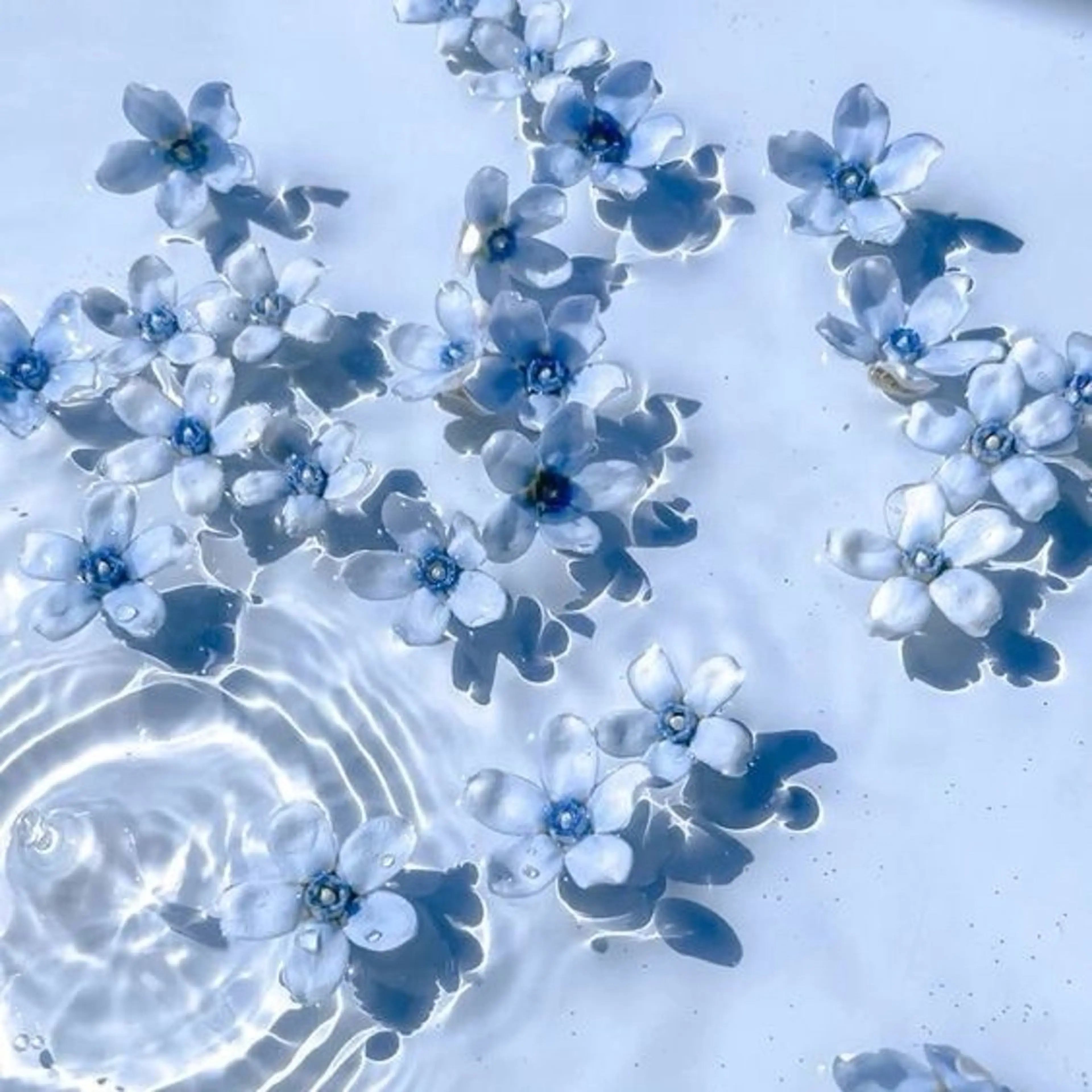 丸山 知夏のマツエク・マツパデザイン