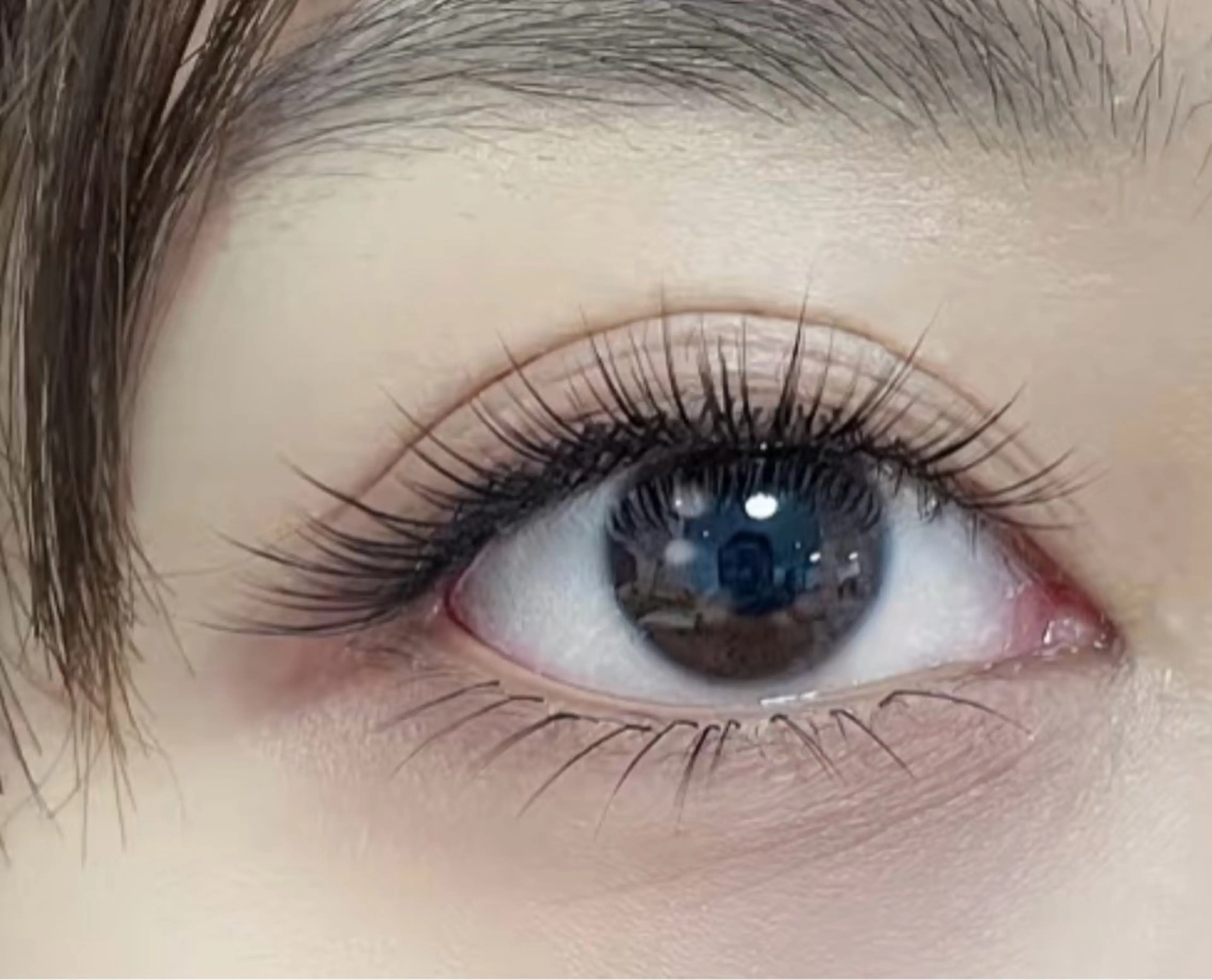 12月限定　ボリュームラッシュ　付け放題の写真