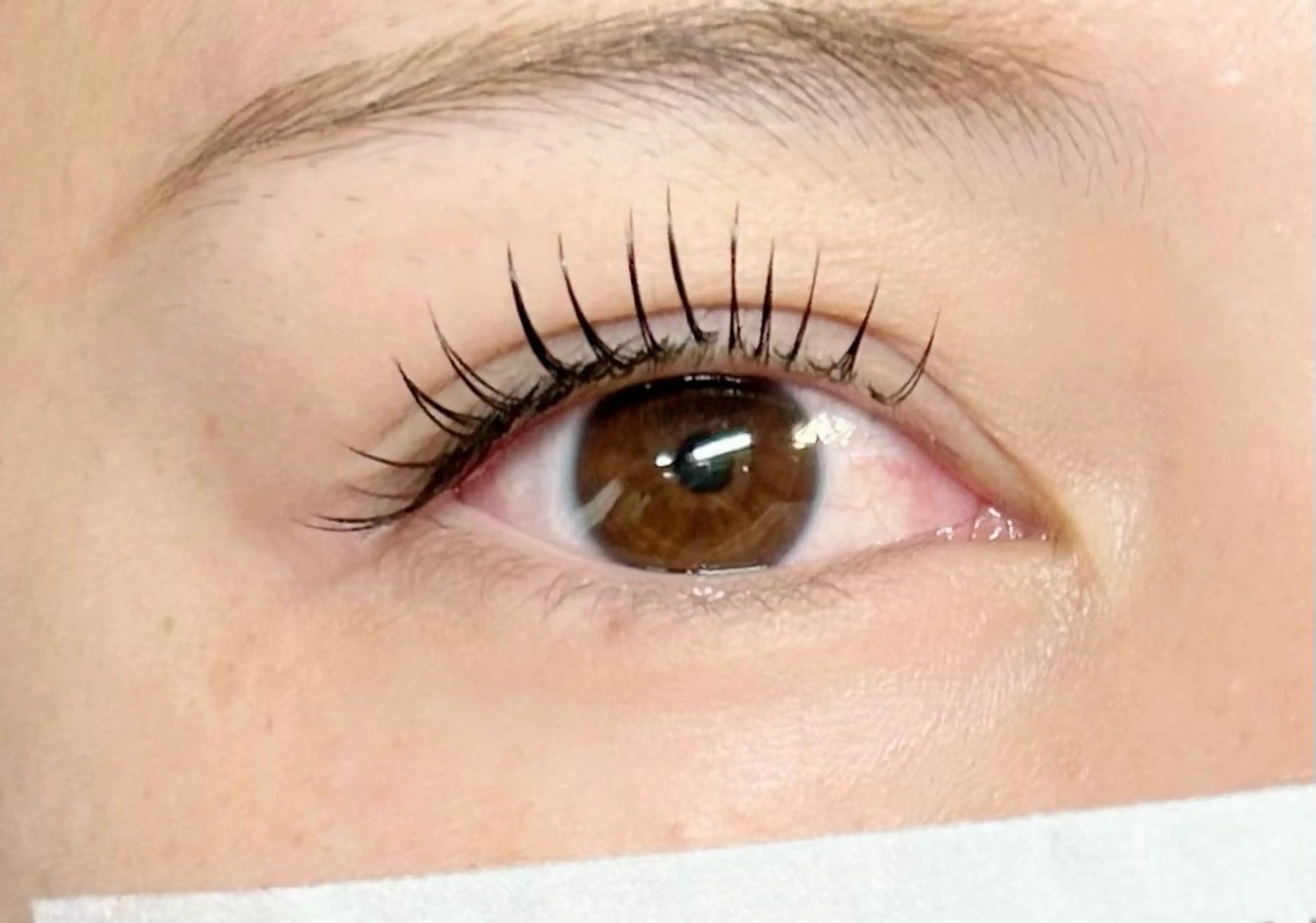 マツエク・マツパ CITRON ⭐︎のマツエク・マツパデザイン