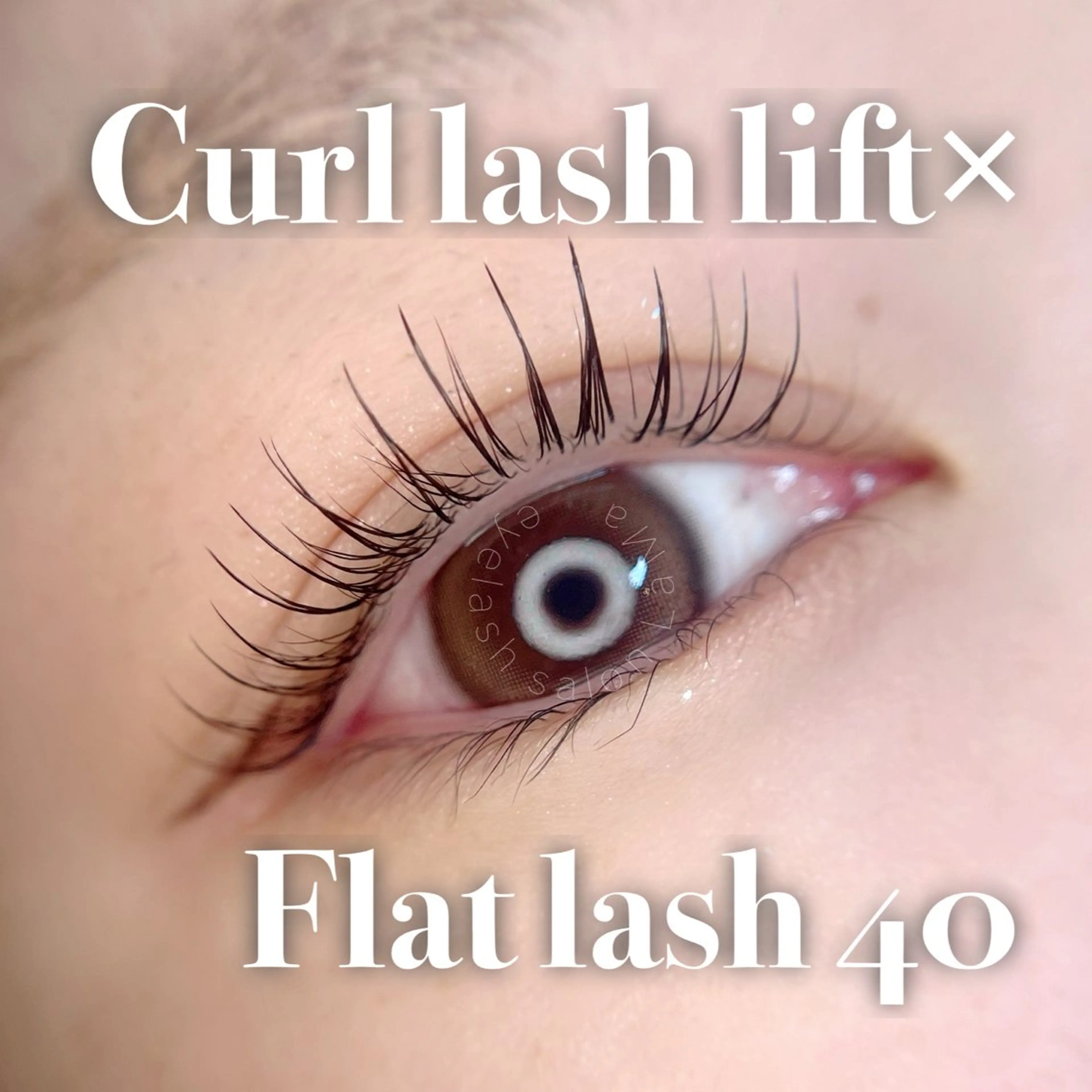 マツエク・マツパ フラットラッシュ マツパ LaMa .Ｊのマツエク・マツパデザイン