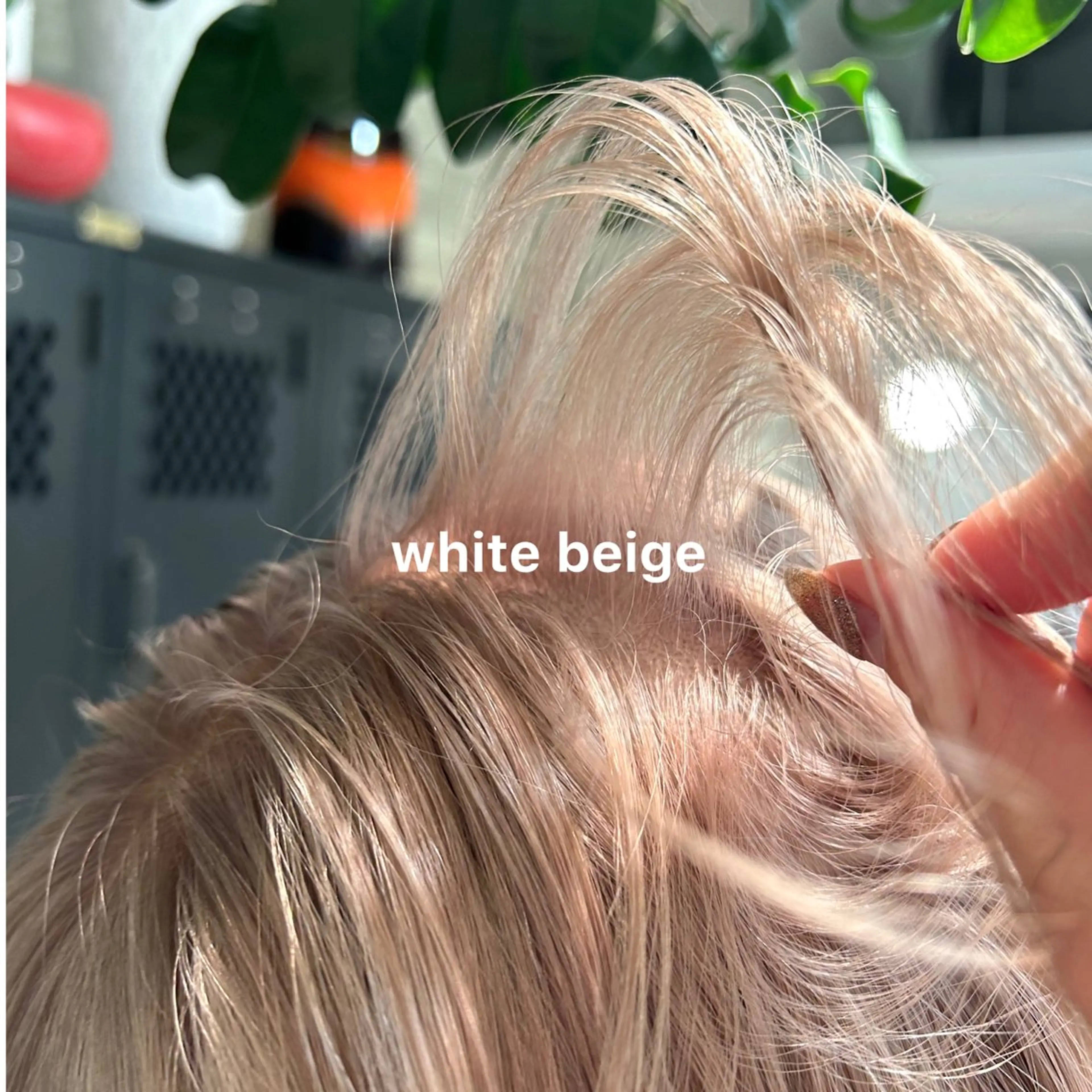 カラー 暖色カラー推し/ トヤエリコのヘアスタイル