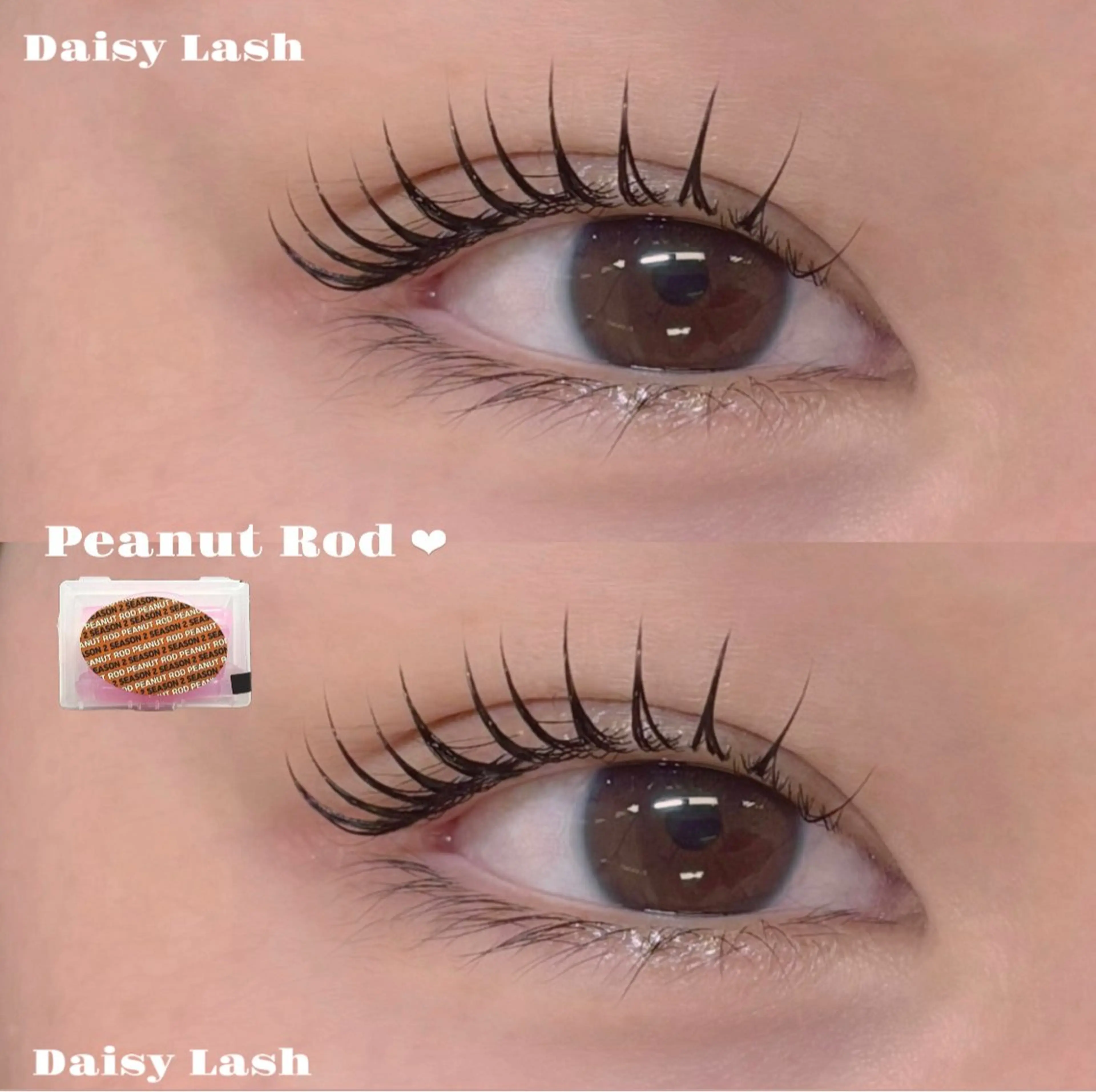 マツエク・マツパ マツパ Daisy Lash 星の眉毛・アイブロウイメージ