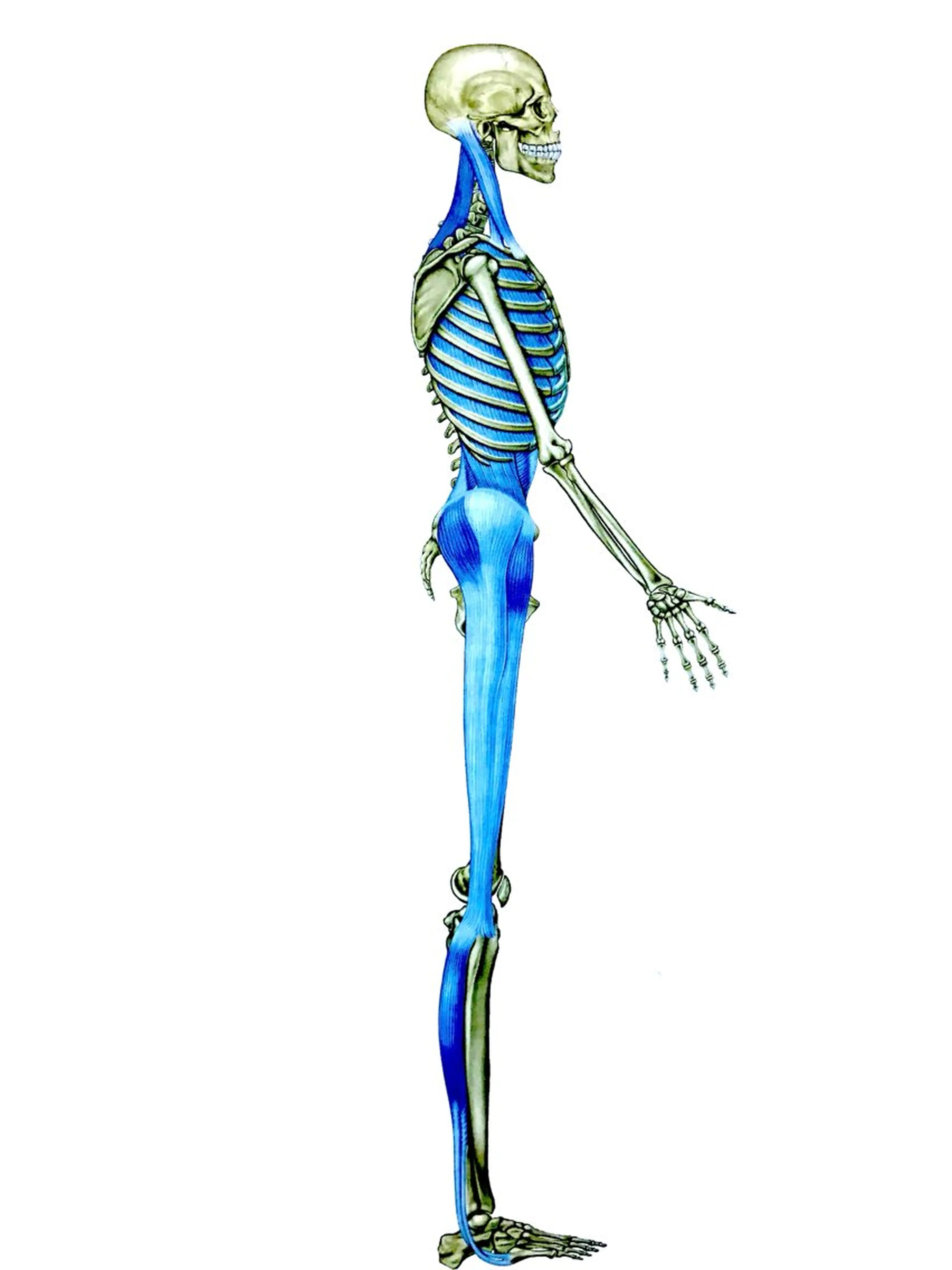 リッチ リメイク整骨院所属・リッチリメイク整骨院 若倉勝己のエステ・リラクイメージ