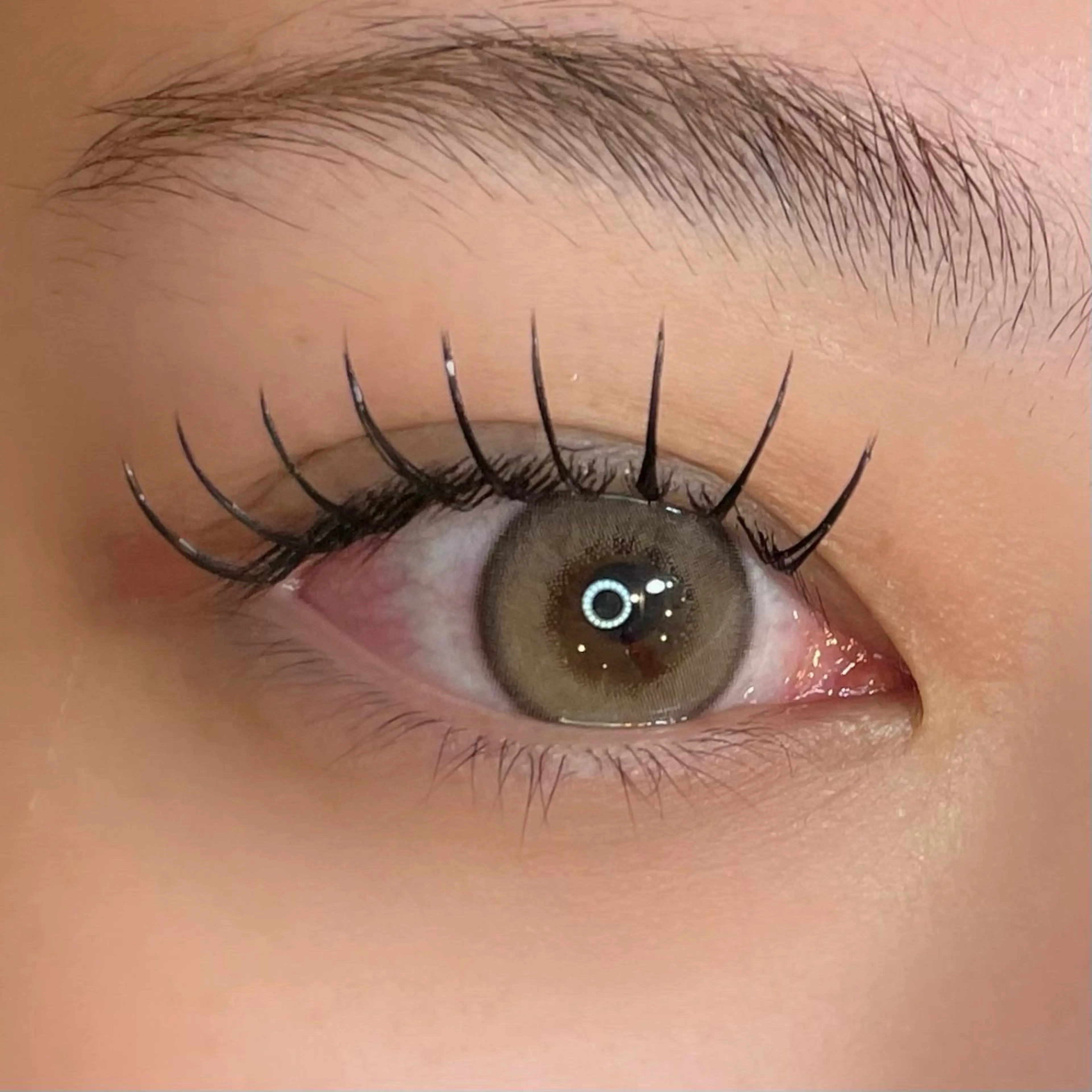 フラットラッシュ80本の写真