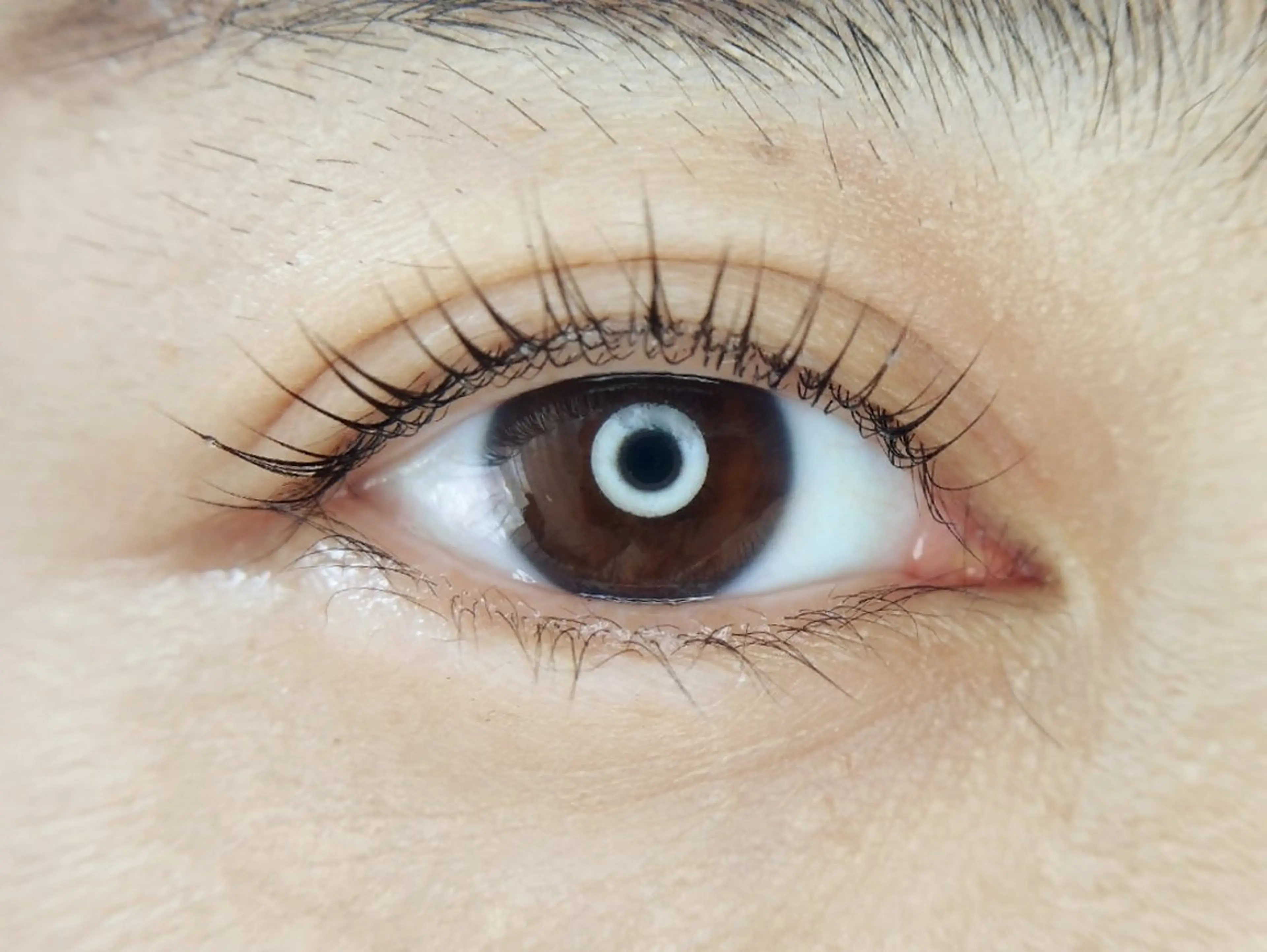 マツエク・マツパ ☀️ゆ リアンのマツエク・マツパデザイン