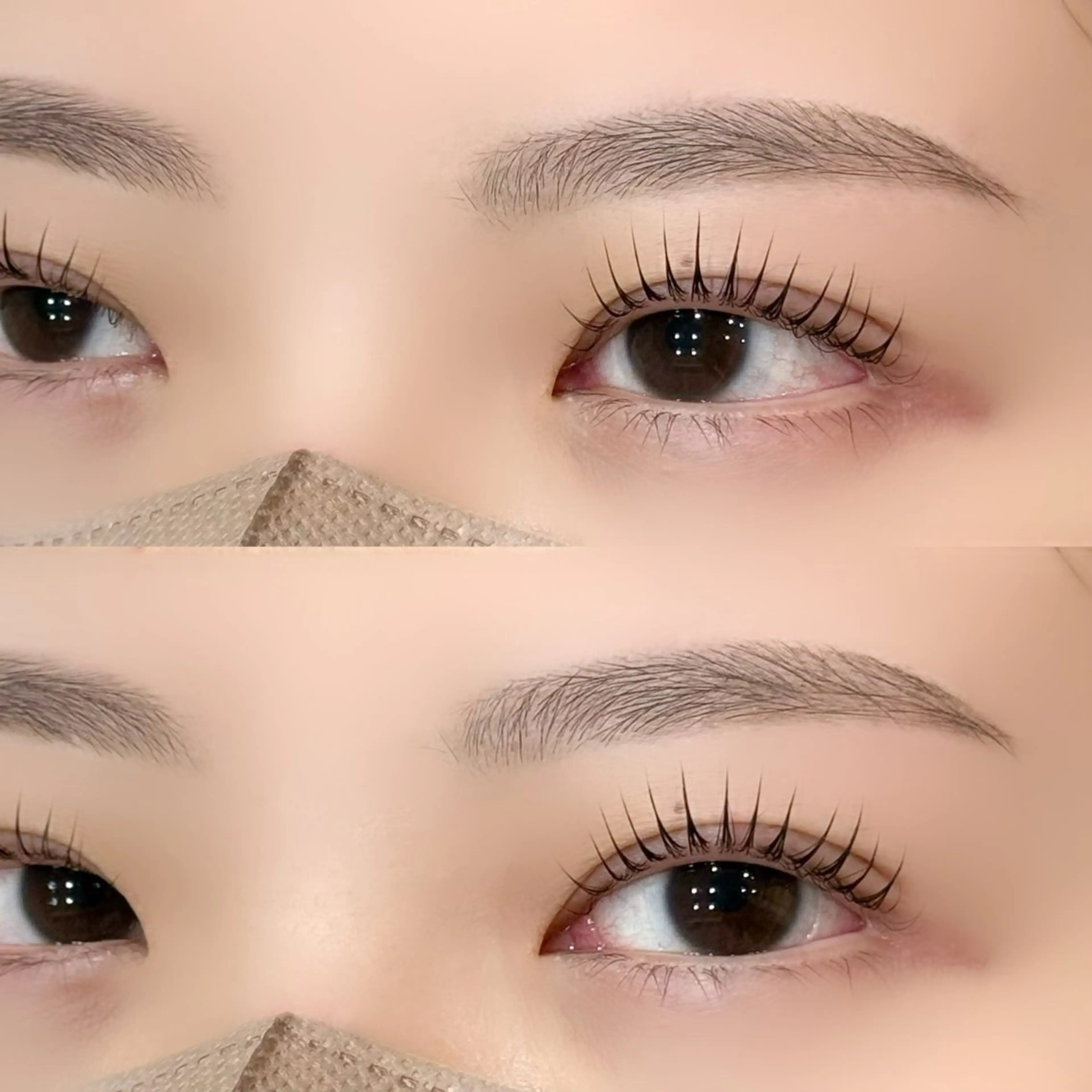 【2月限定🍫🩵】ラッシュリフト+アイブロウワックス(デザイン自由)の写真