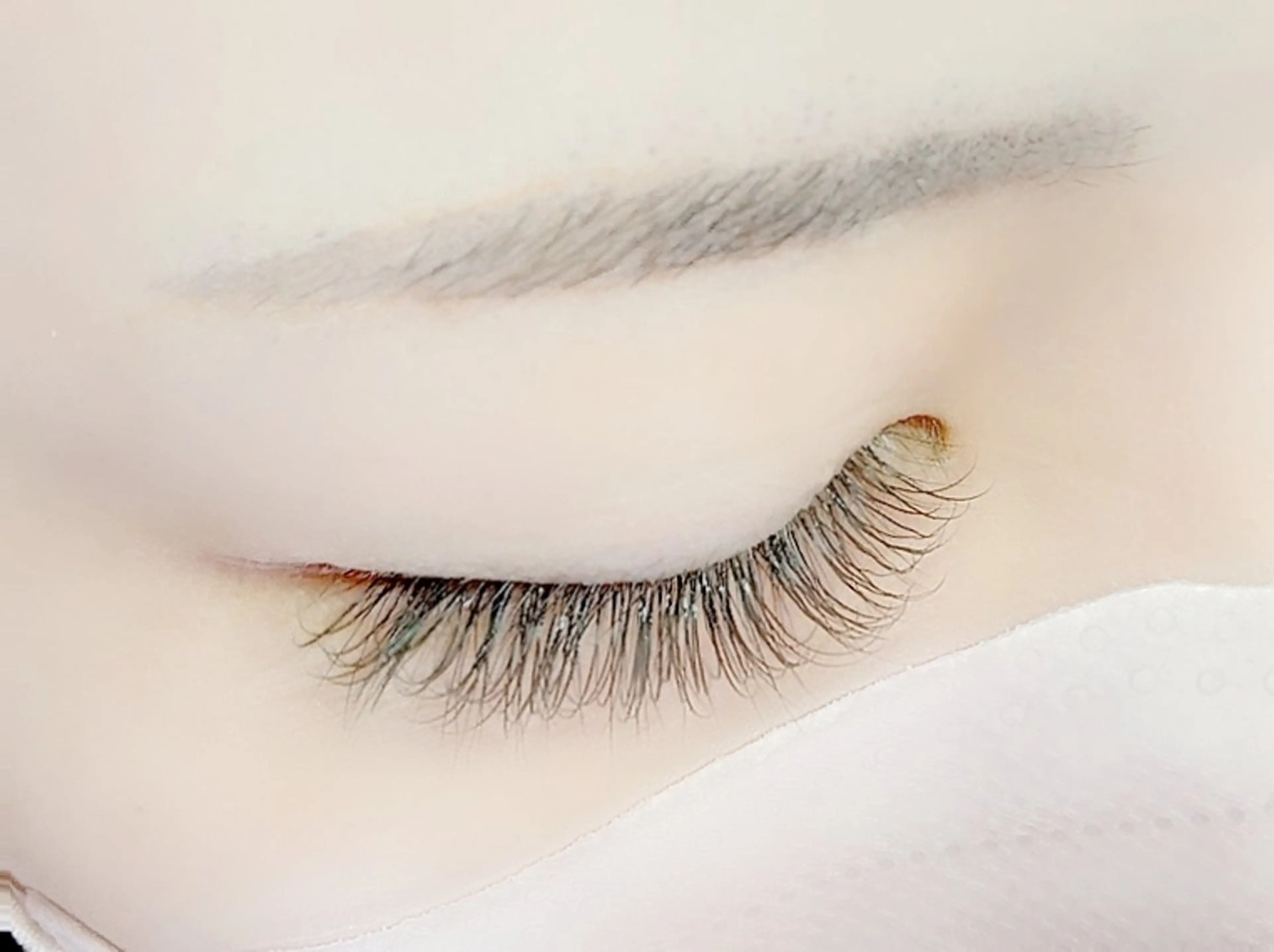 ★平日限定★フラットラッシュ120本¥8000→¥6600バインドロック¥1100で変更◎の写真