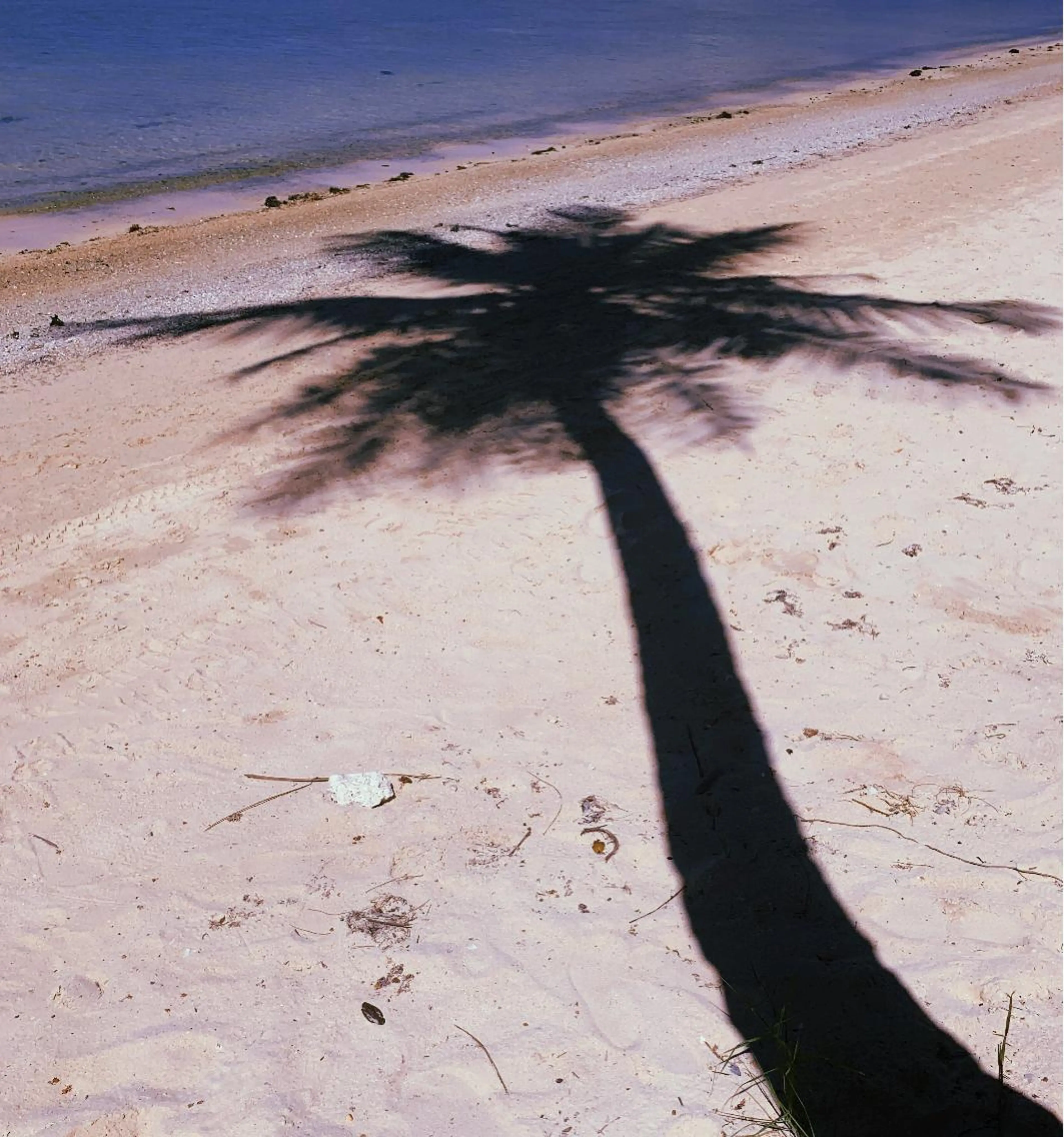 𝐘𝐎𝐒𝐇𝐈 𝐌𝐈🌞🏝のマツエク・マツパデザイン