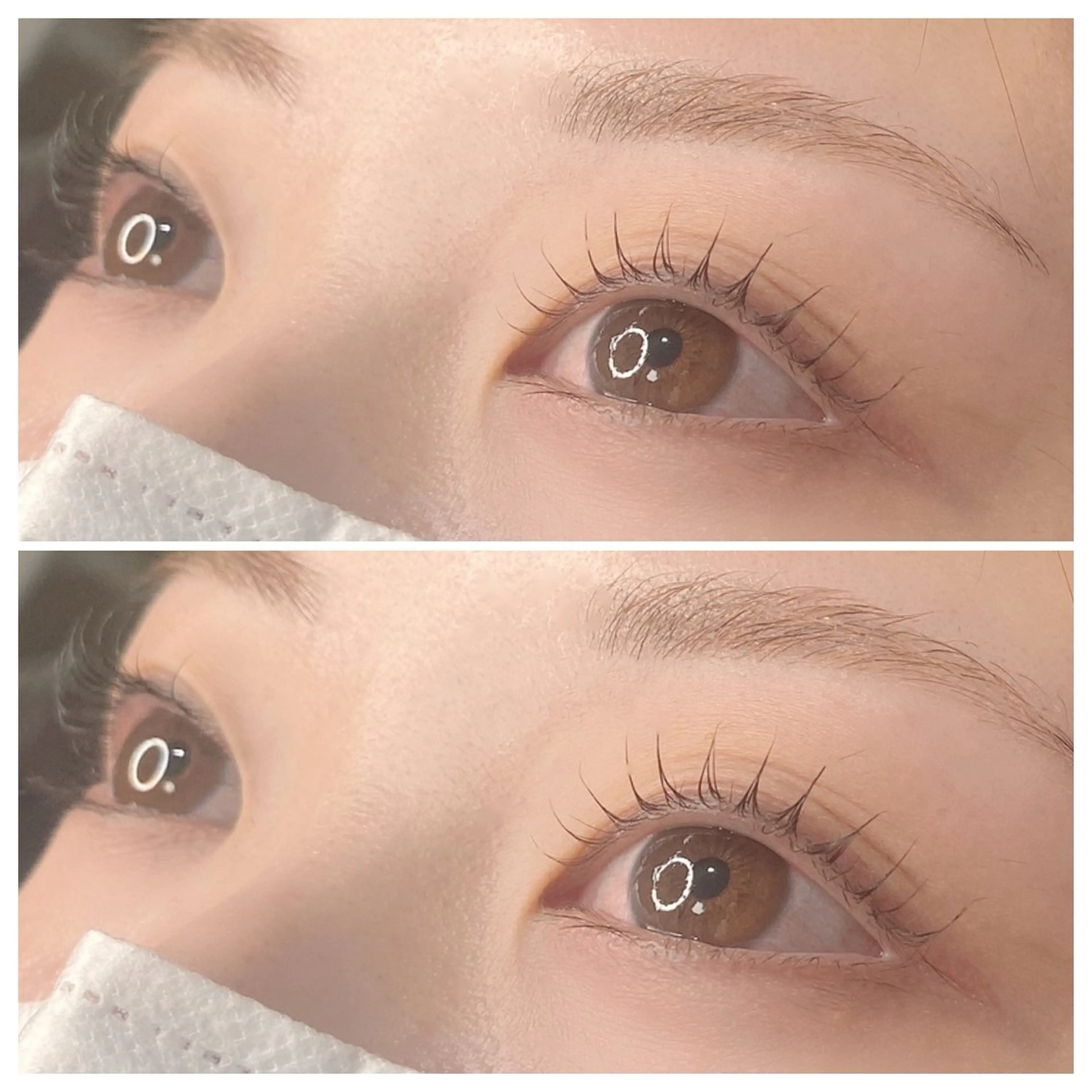 【ミニモ特別価格🌼】ラッシュリフト《次世代型まつげパーマ》初回限定4950円の写真