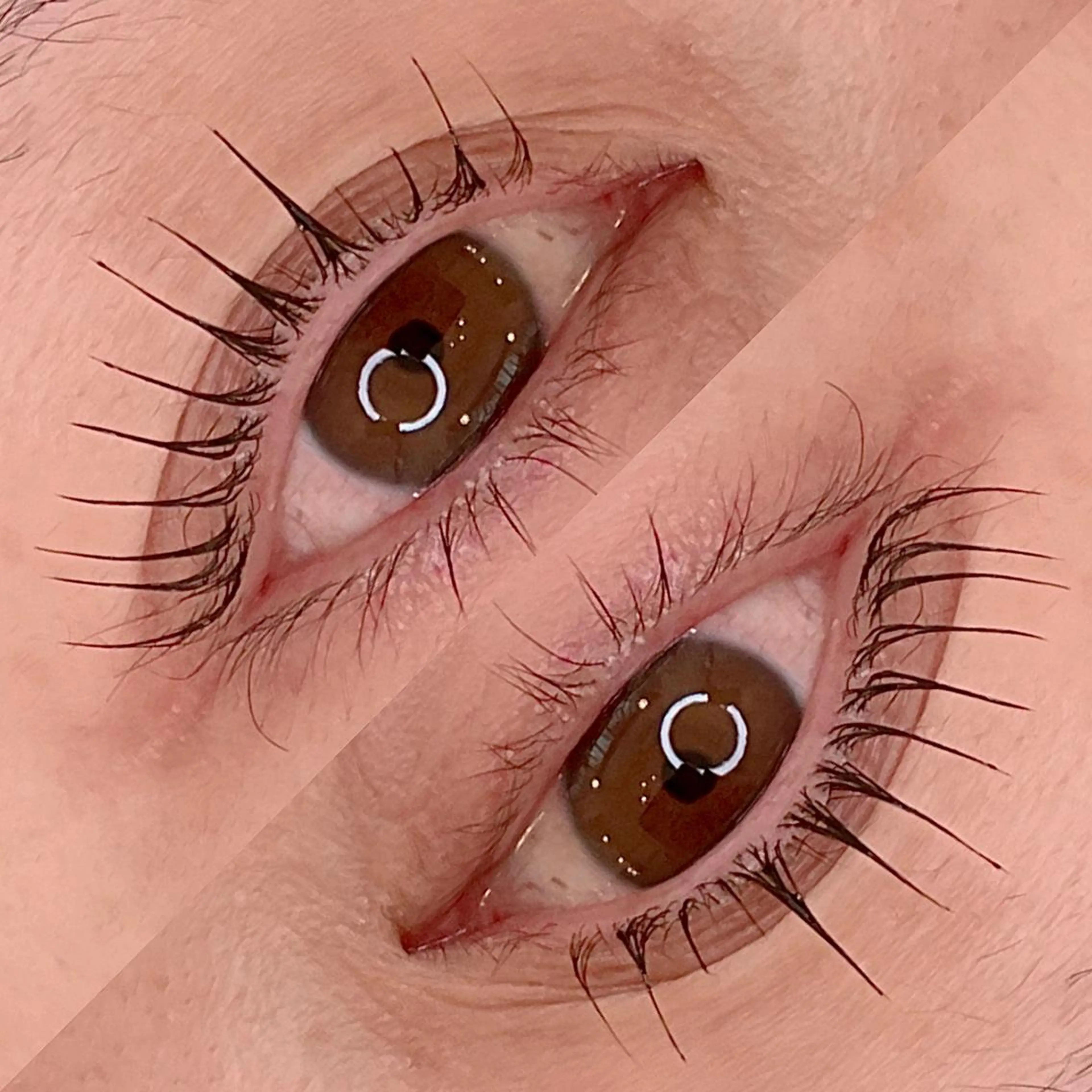 マツエク・マツパ カラーマツエク RoseLash【青山一丁目徒歩1分】表参道所属・パリジェンヌ/まつパ RoseLashのマツエク・マツパデザイン