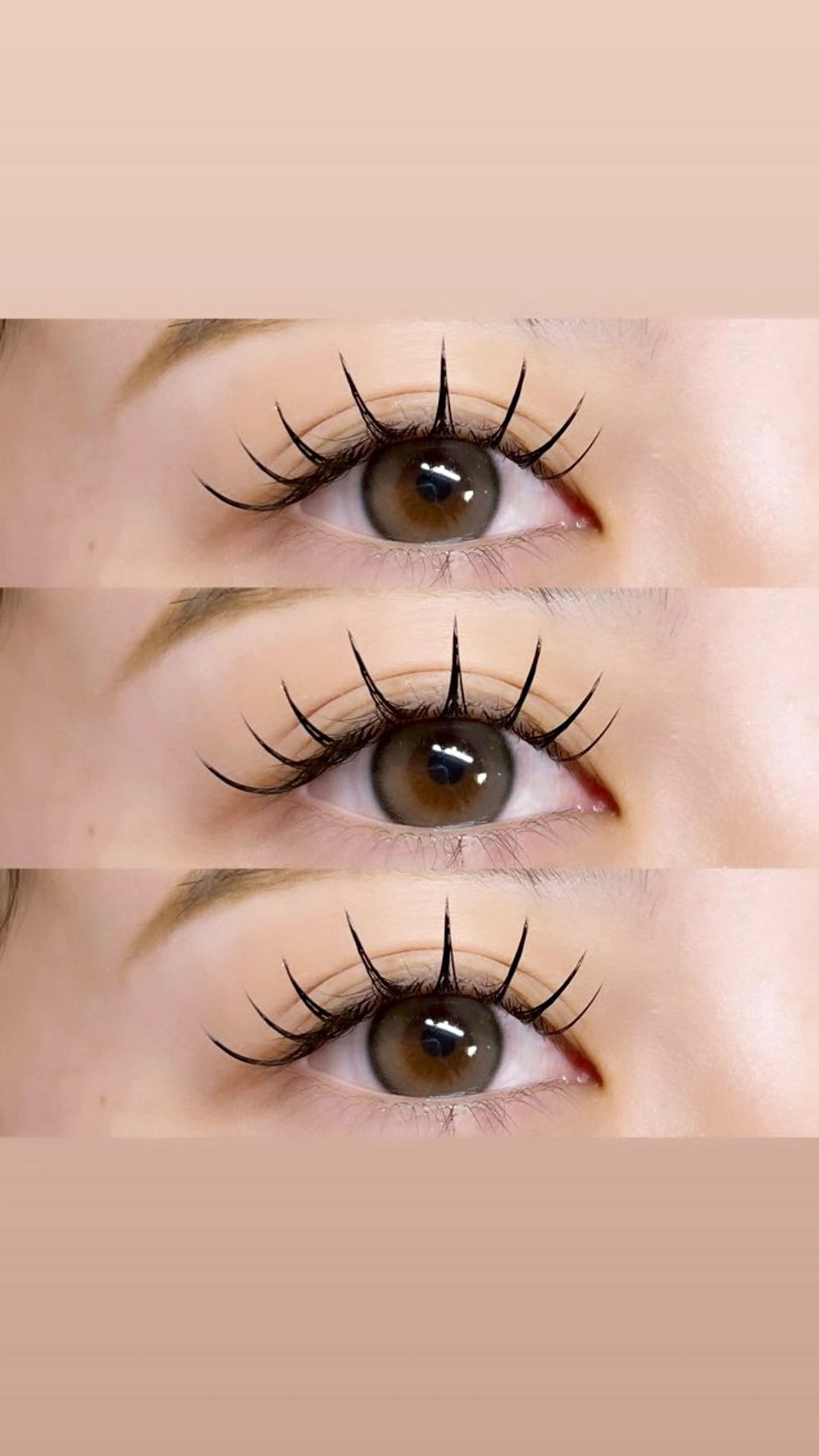 マツエク・マツパ Dカール セクシー fleur所属・🍀fleur🍀 柴田のマツエク・マツパデザイン