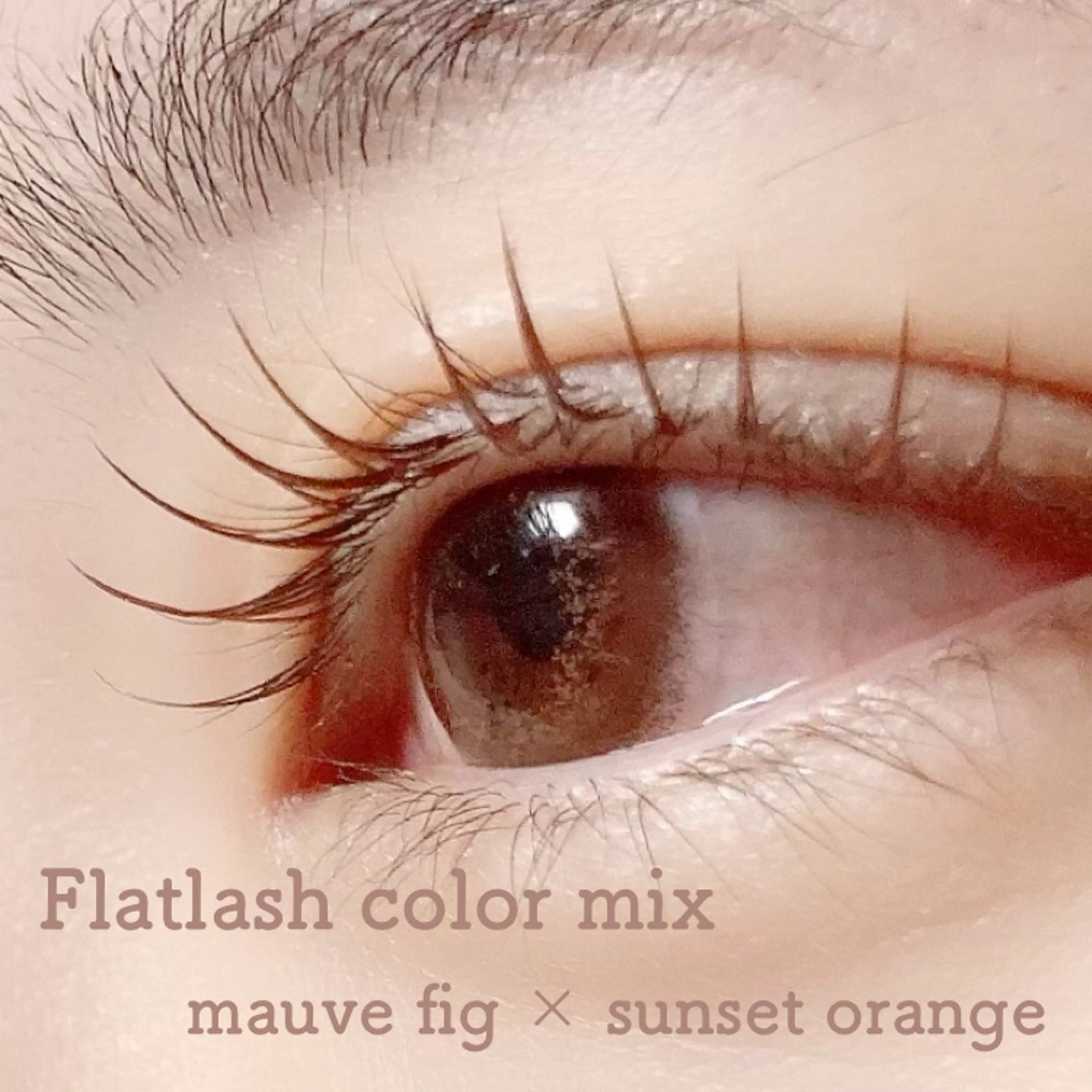 マツエク・マツパ Hase　本八幡 🧸マツエク専門🧸のマツエク・マツパデザイン