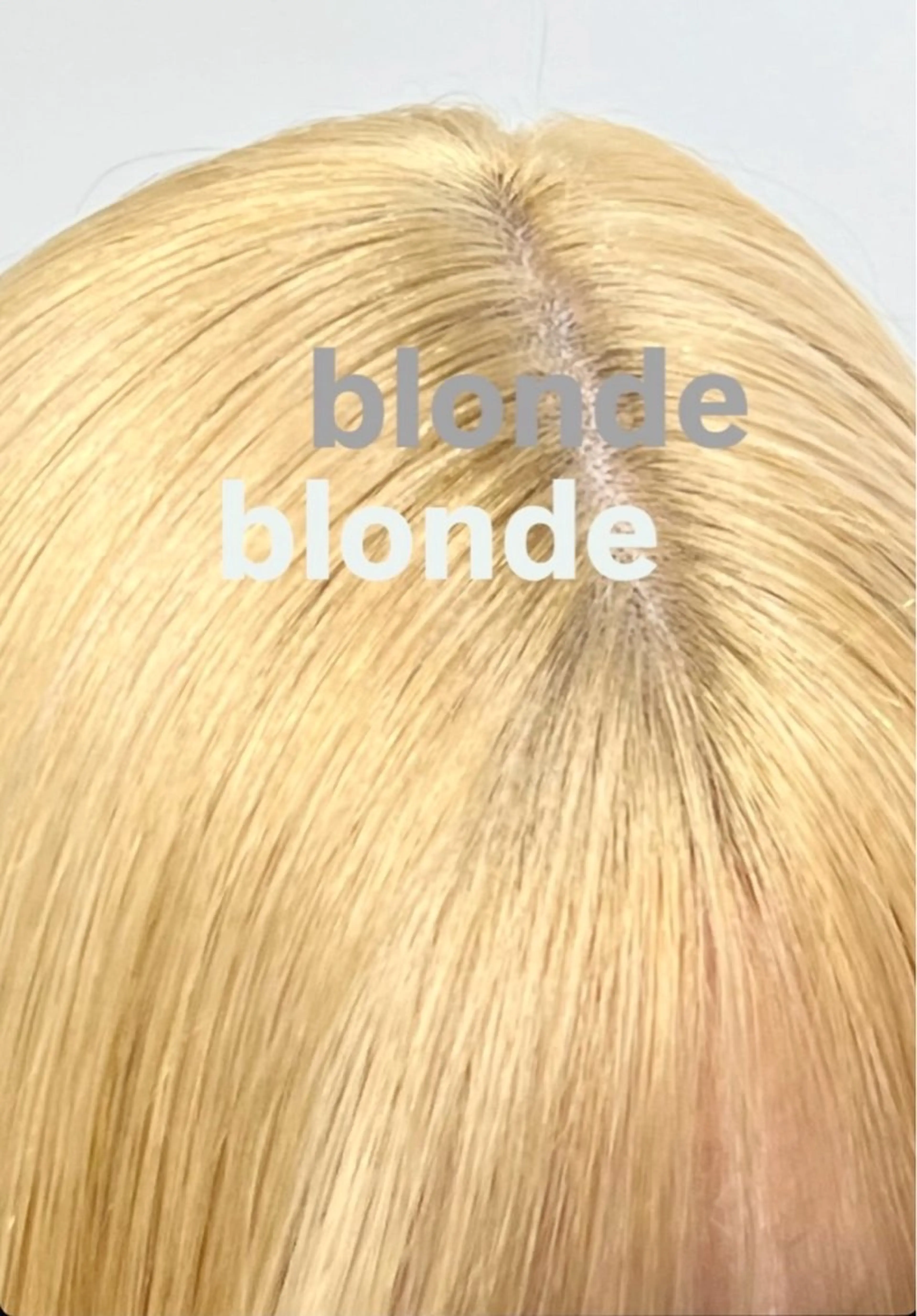 【旭川市内の高校　大学　専門学生限定】鮮彩度フルカラーの写真