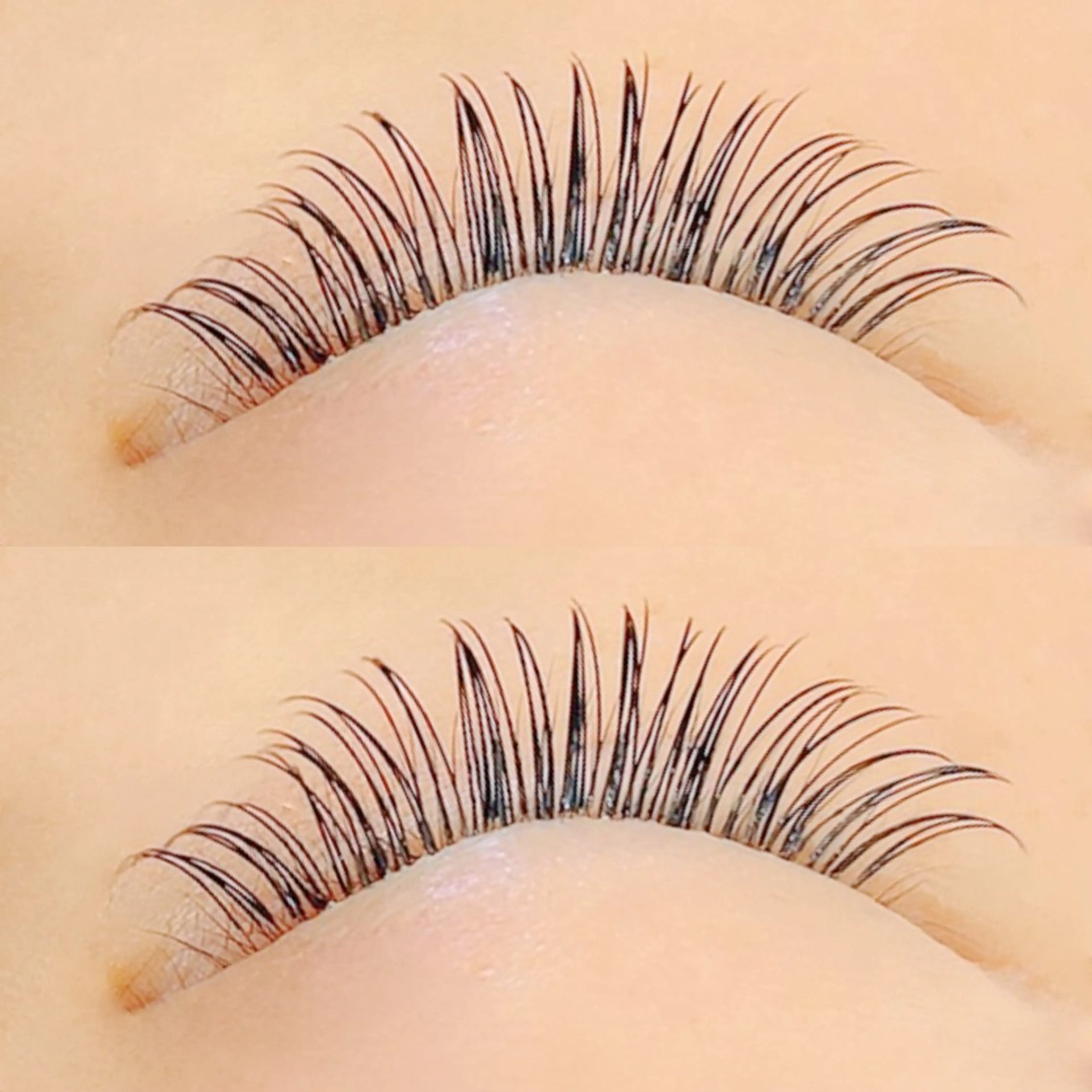 フラットラッシュ160本の写真