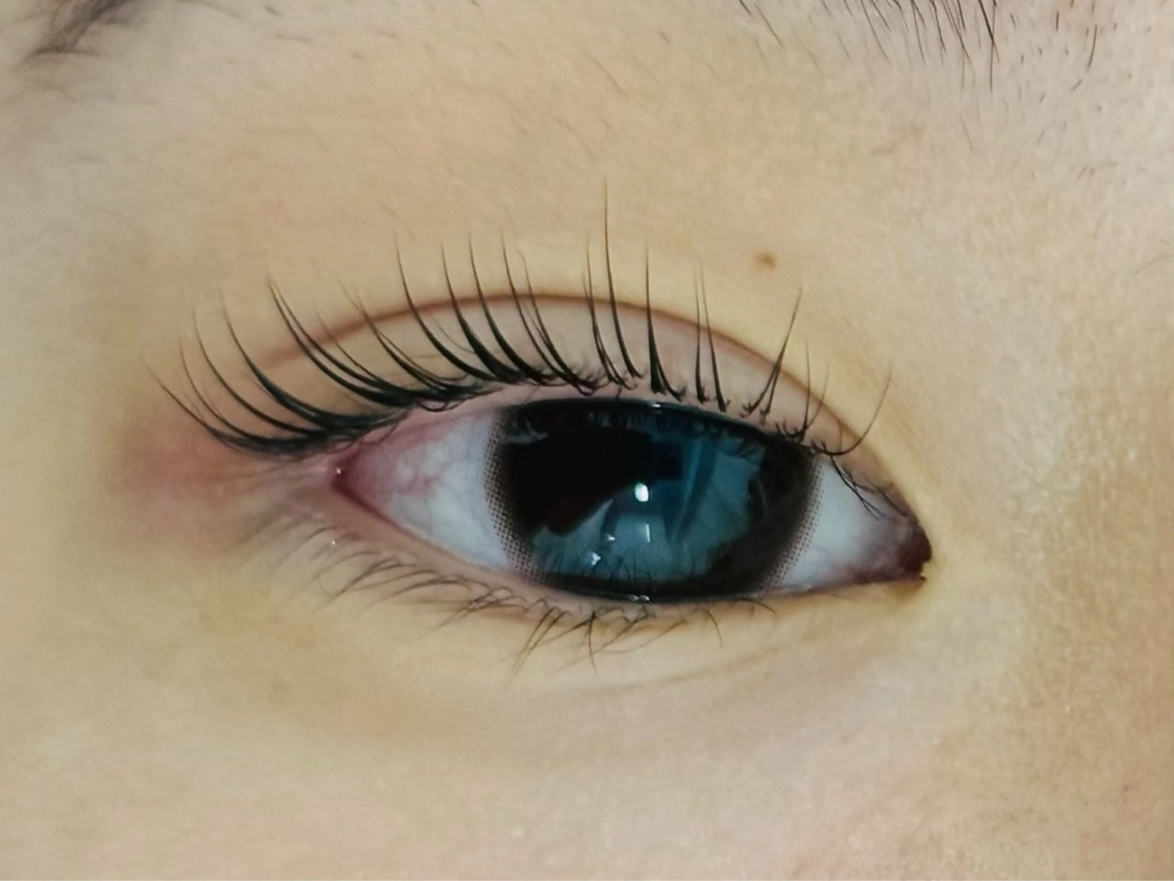 👑アミノ酸まつ毛パーマ上👑の写真