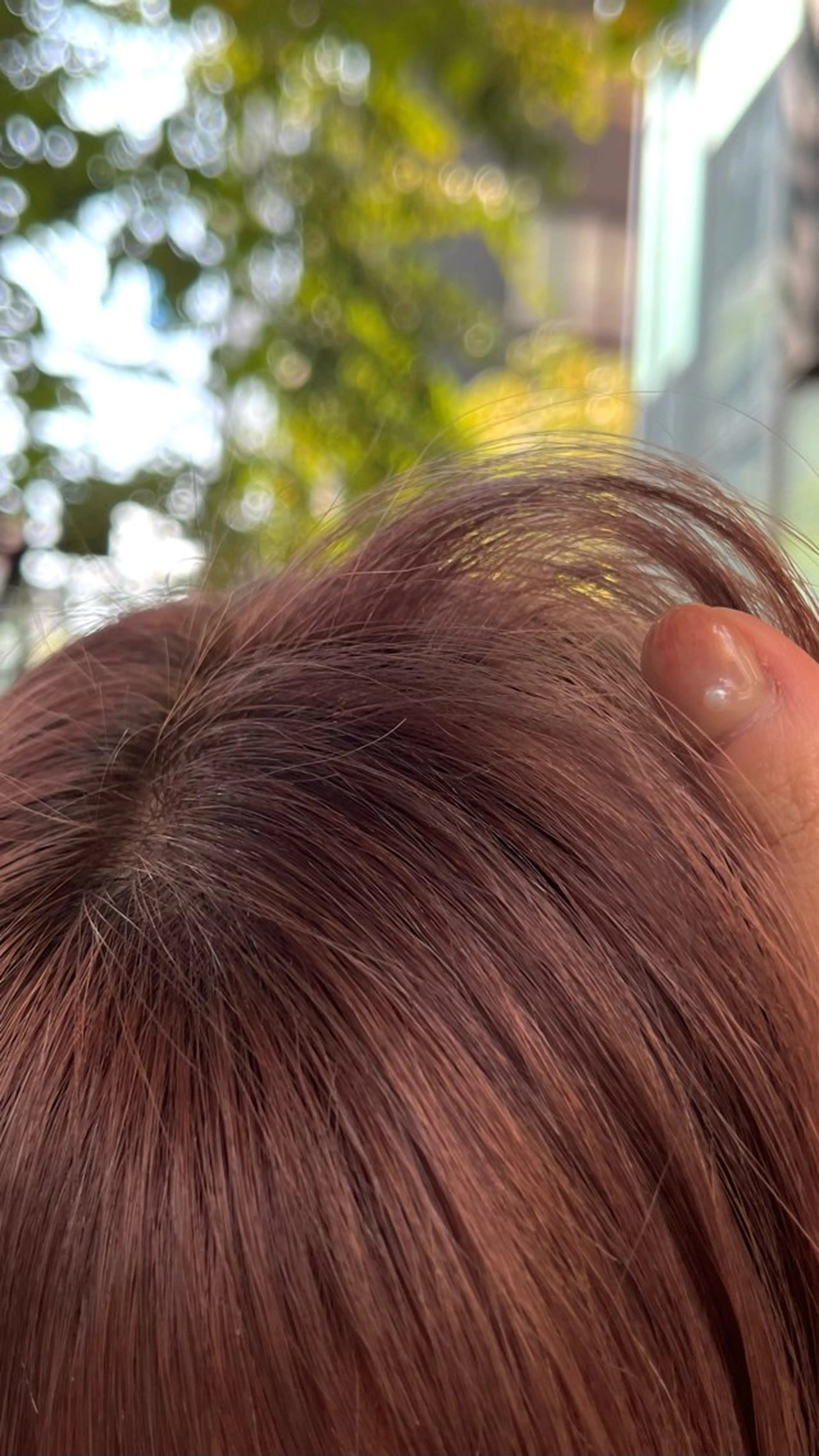 カラー 冨井 ほのかのヘアスタイル