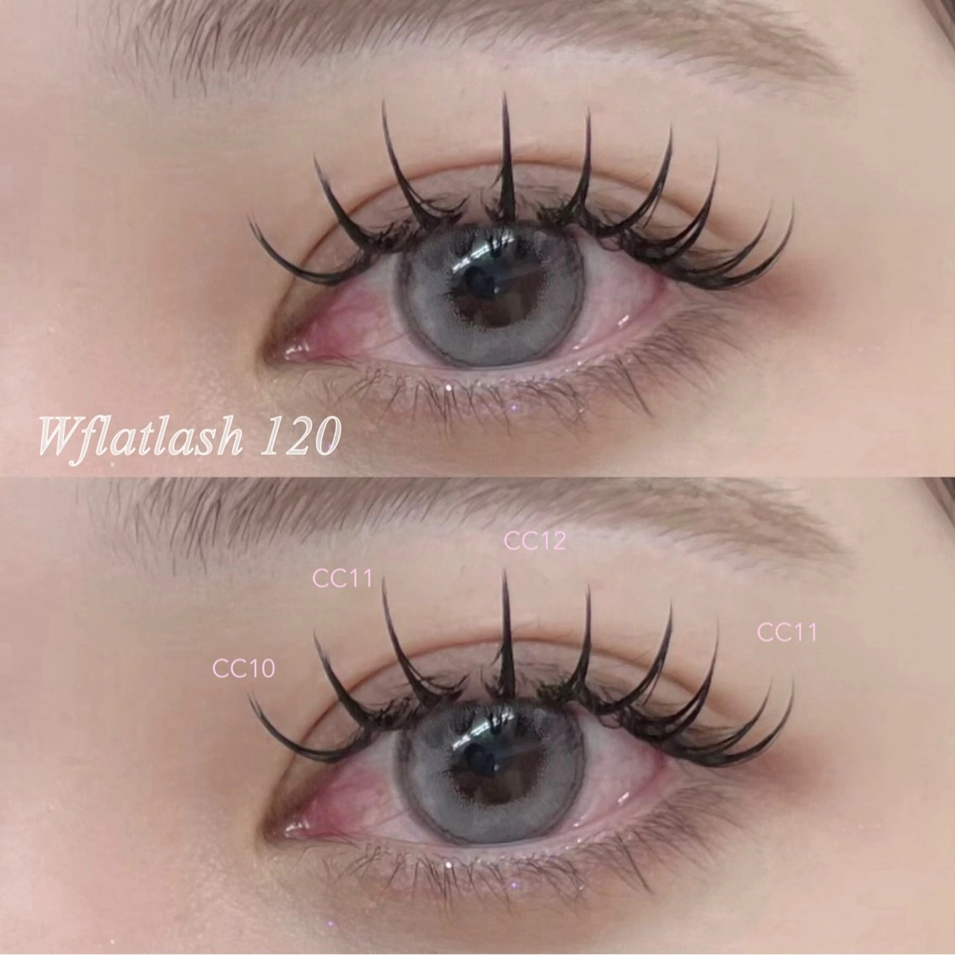 Wフラットラッシュ120束🌷（オフ別途+550円）の写真