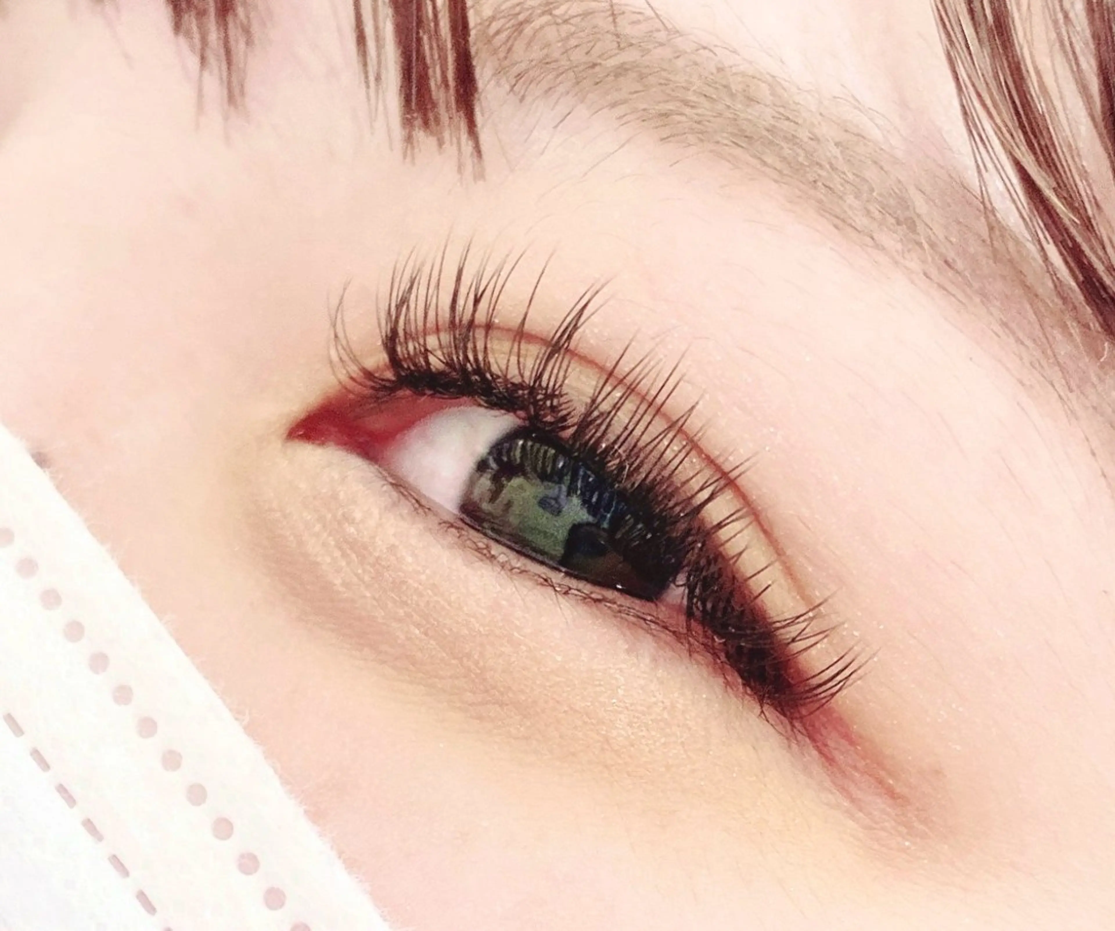 ボリュームラッシュソフト100束の写真