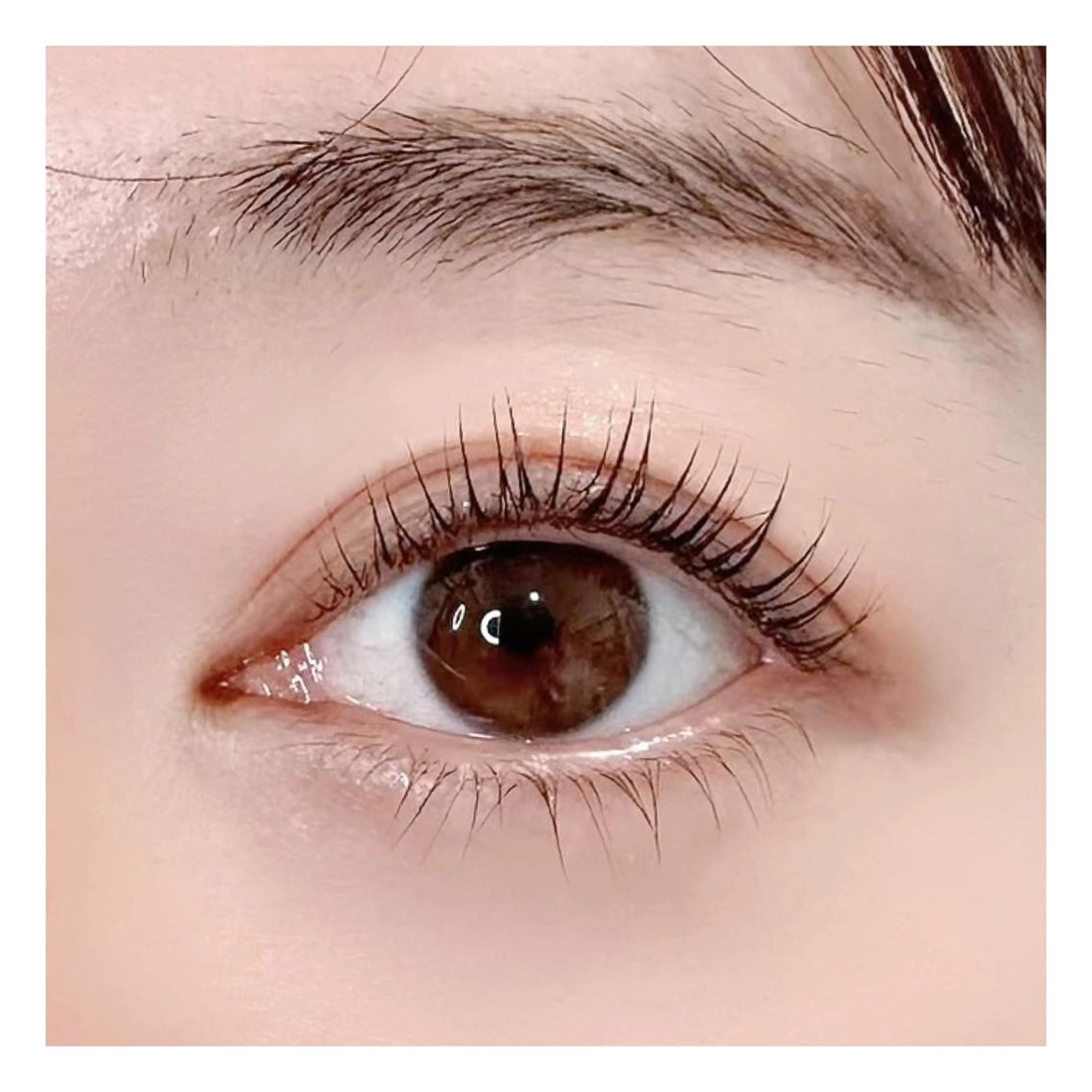 ☆上下ラッシュリフト☆ 新規様、エクステオフ有りの方はこちら(アイシャンプー込)の写真