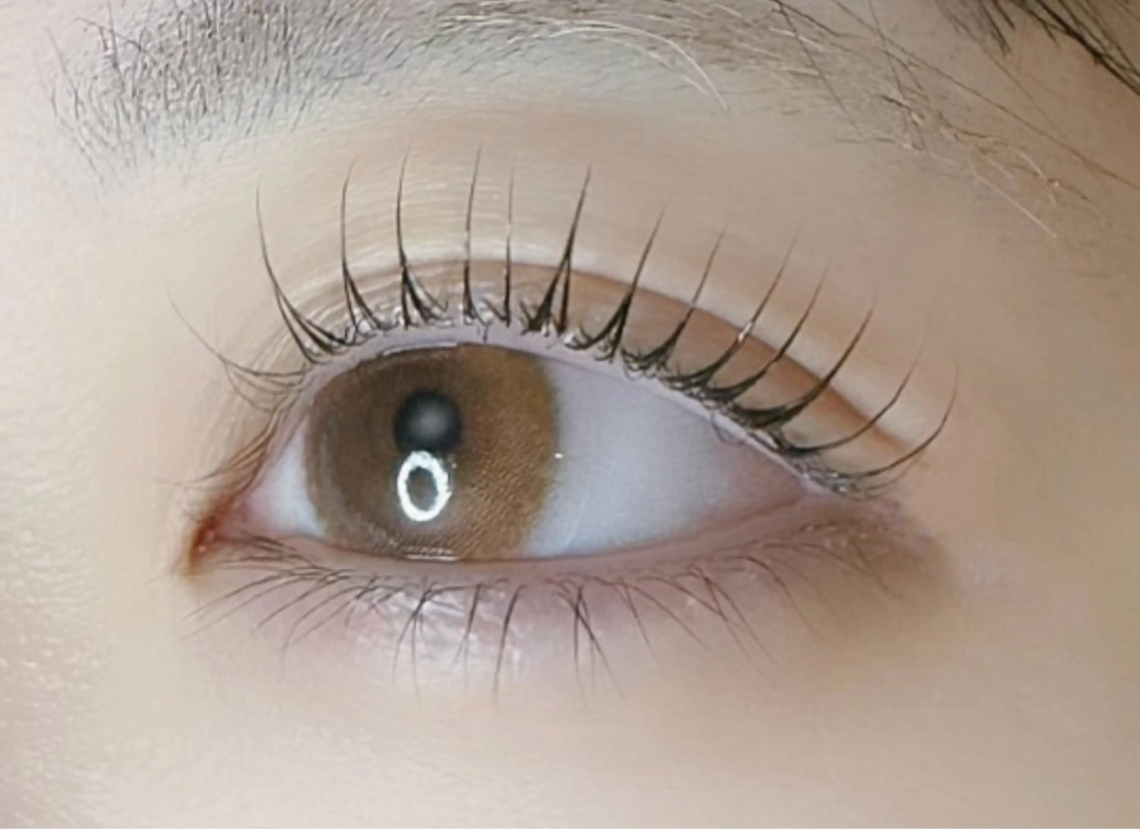 【minimo限定🎀】ナチュラル垢抜けまつげパーマ👀💗コーティング付き ￥0✨の写真