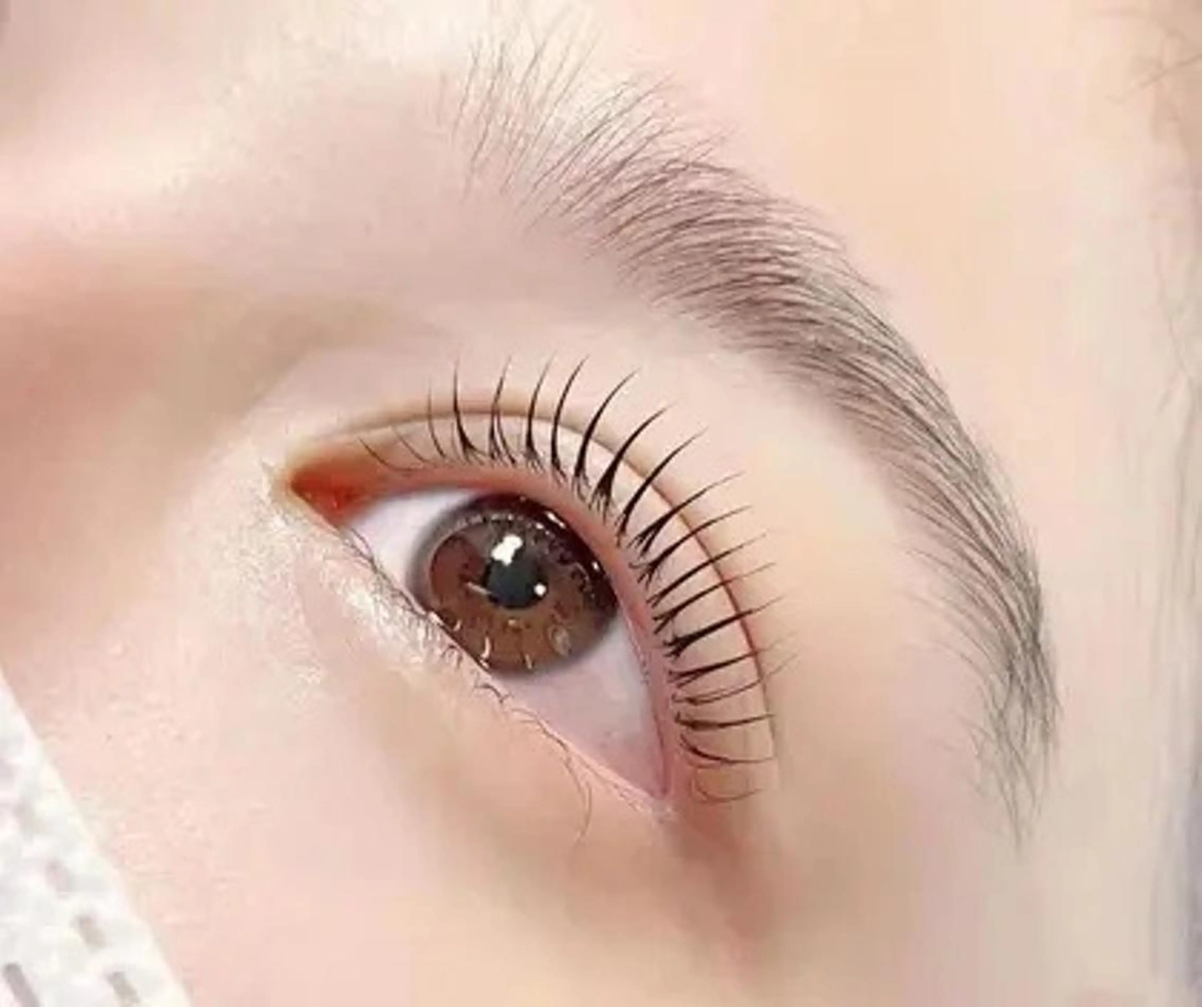 ご新規限定🌼ラッシュリフト上🌼アイパック・美容液付⚠️施術時間45分前後⚠️ロッド🔟種類以上　土日祝＋￥300の写真