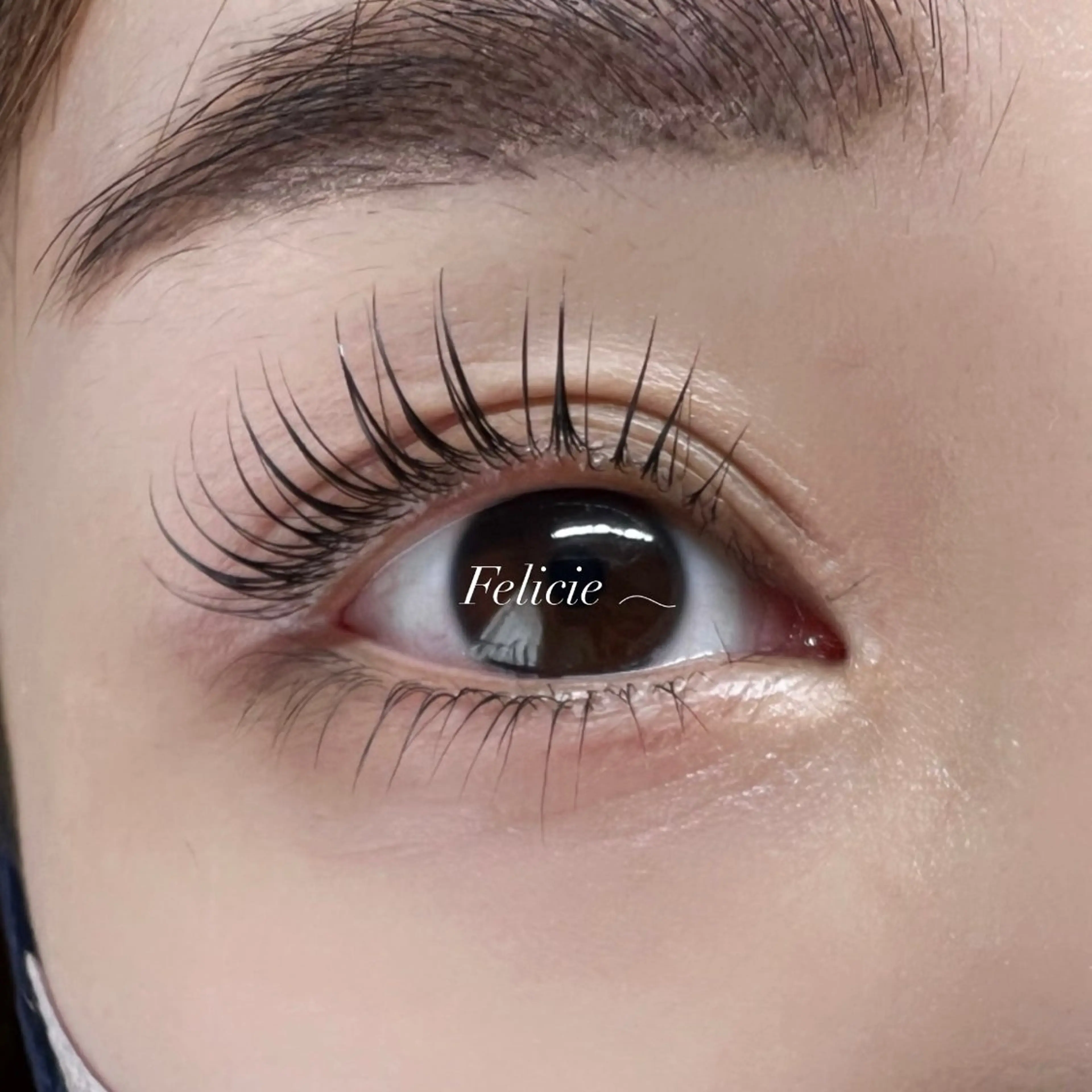 マツエク・マツパ 下まつげエクステ 一重×まつ毛パーマ マツパ Felicie＊ Sayakaのマツエク・マツパデザイン