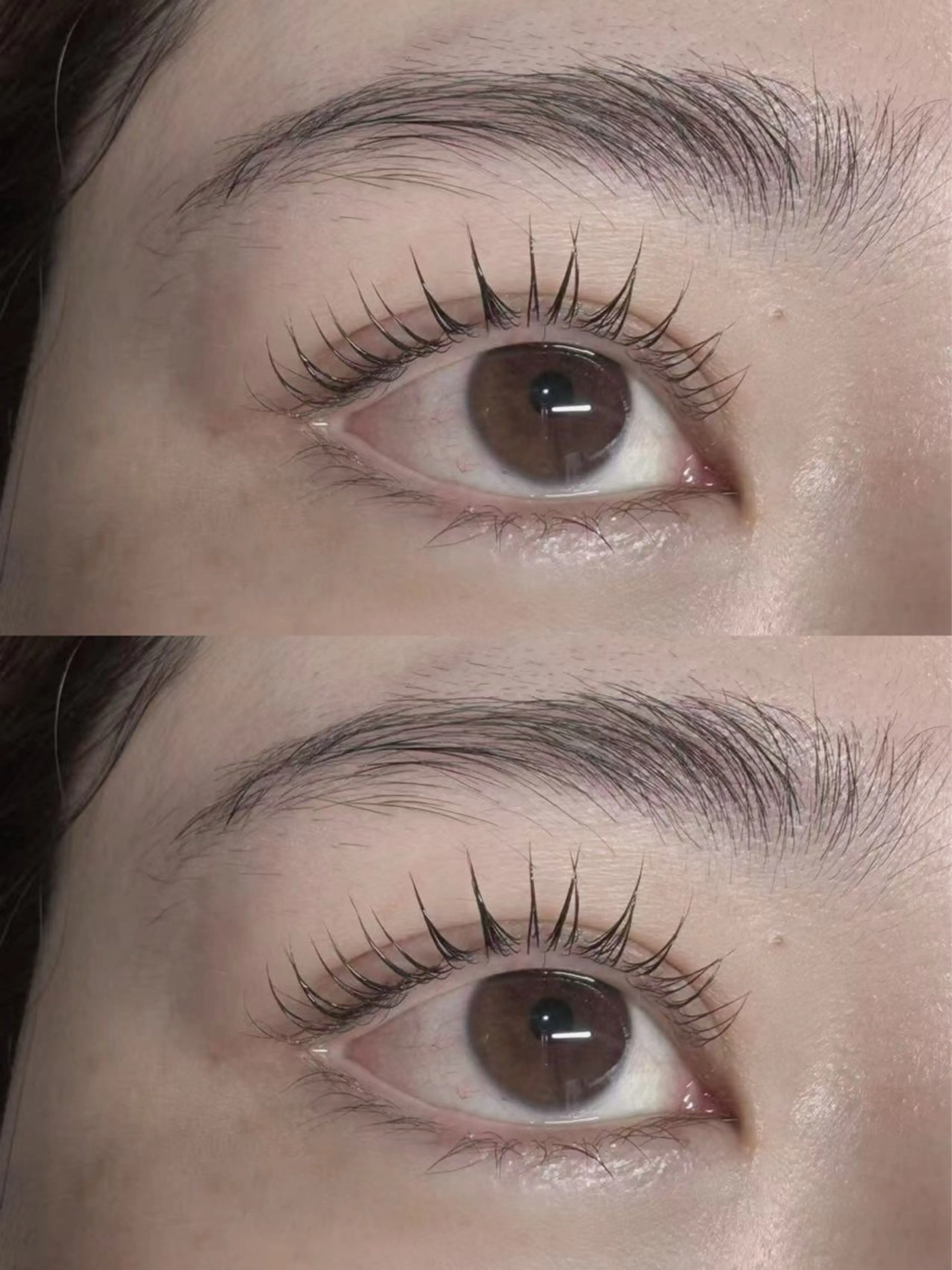 マツエク・マツパ オアシス OASISのマツエク・マツパデザイン