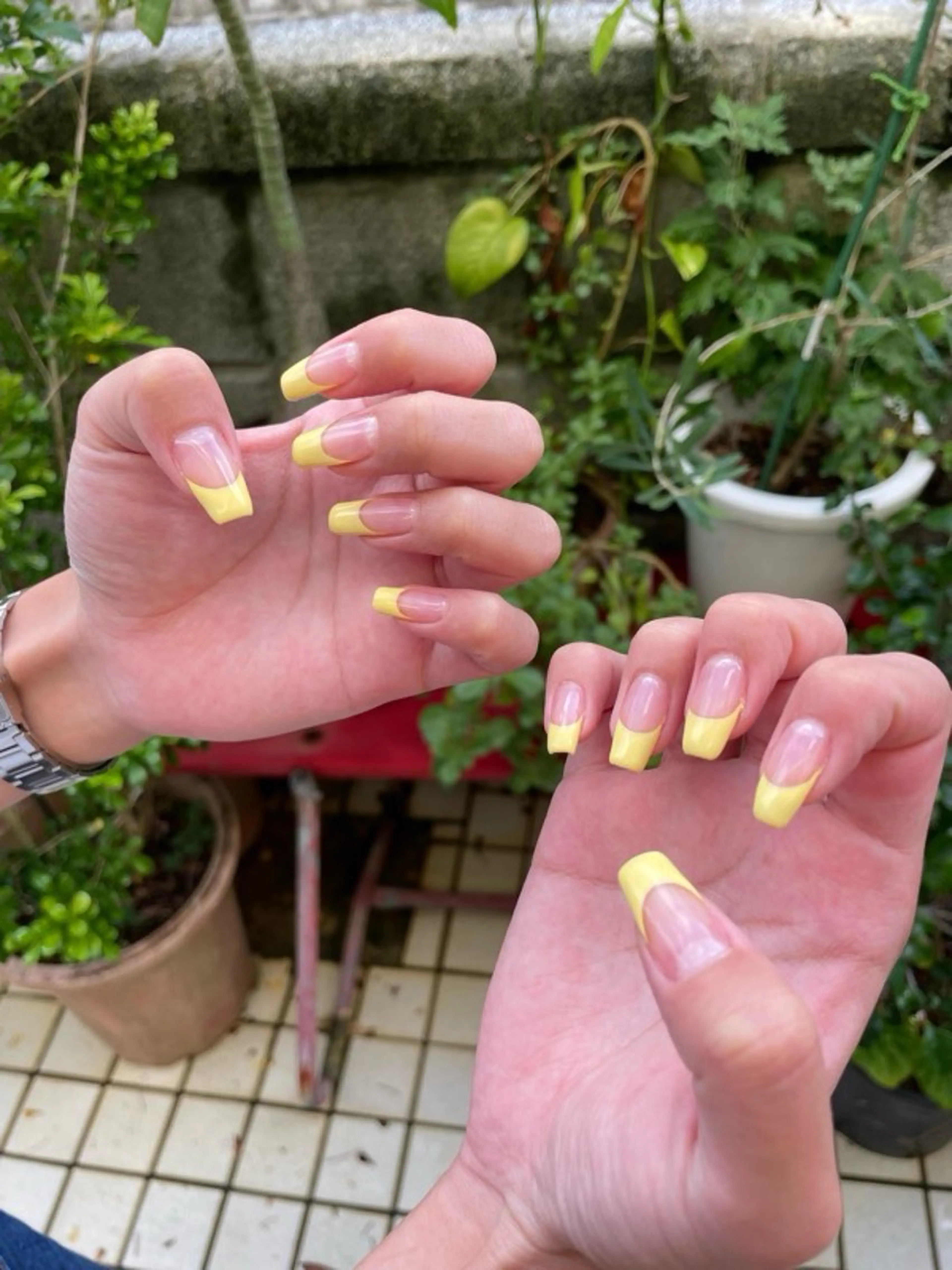 フレンチ【ベース:クリア】👩🏼‍🎨オフ無しの写真