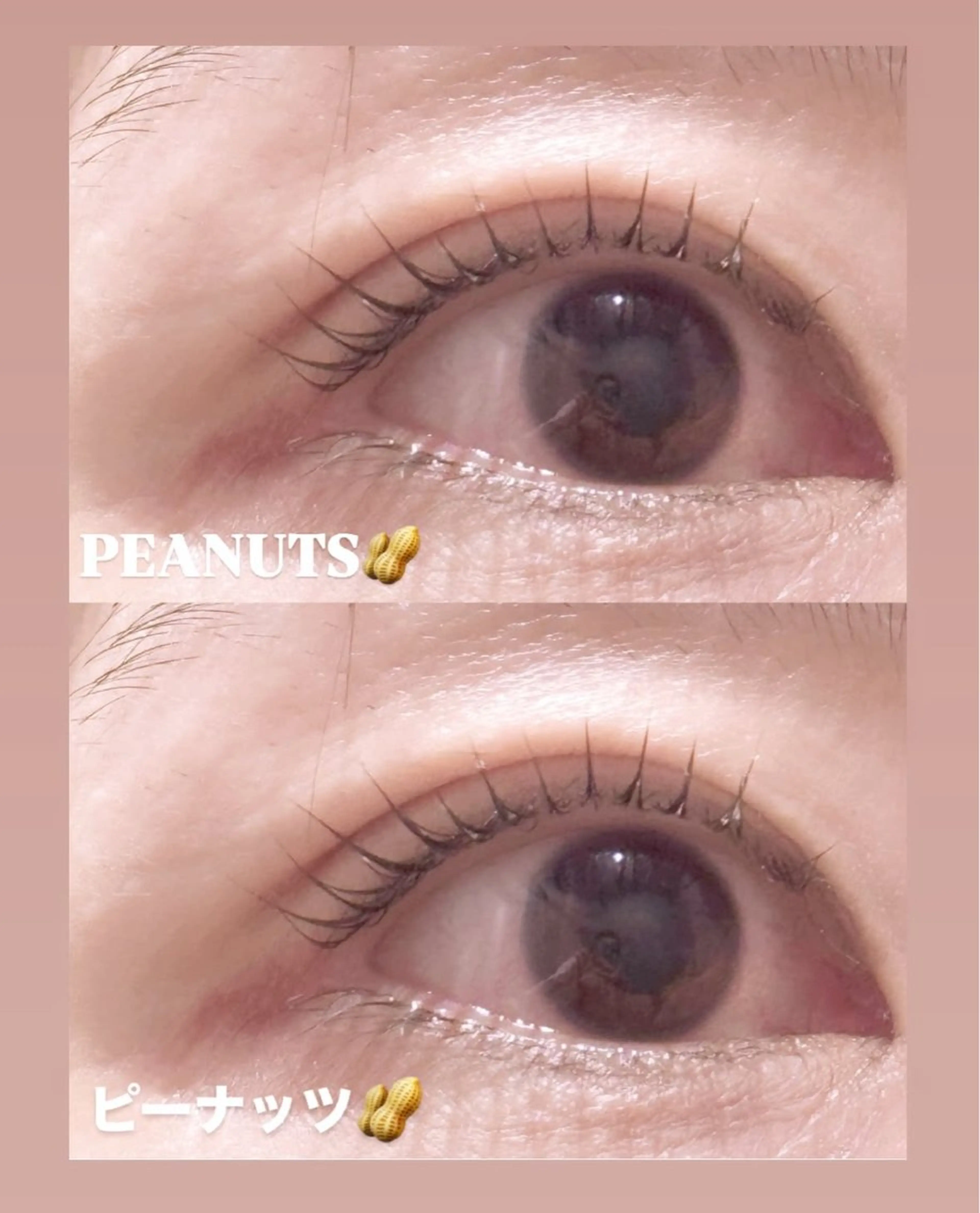 マツエク・マツパ e& ユメのマツエク・マツパデザイン