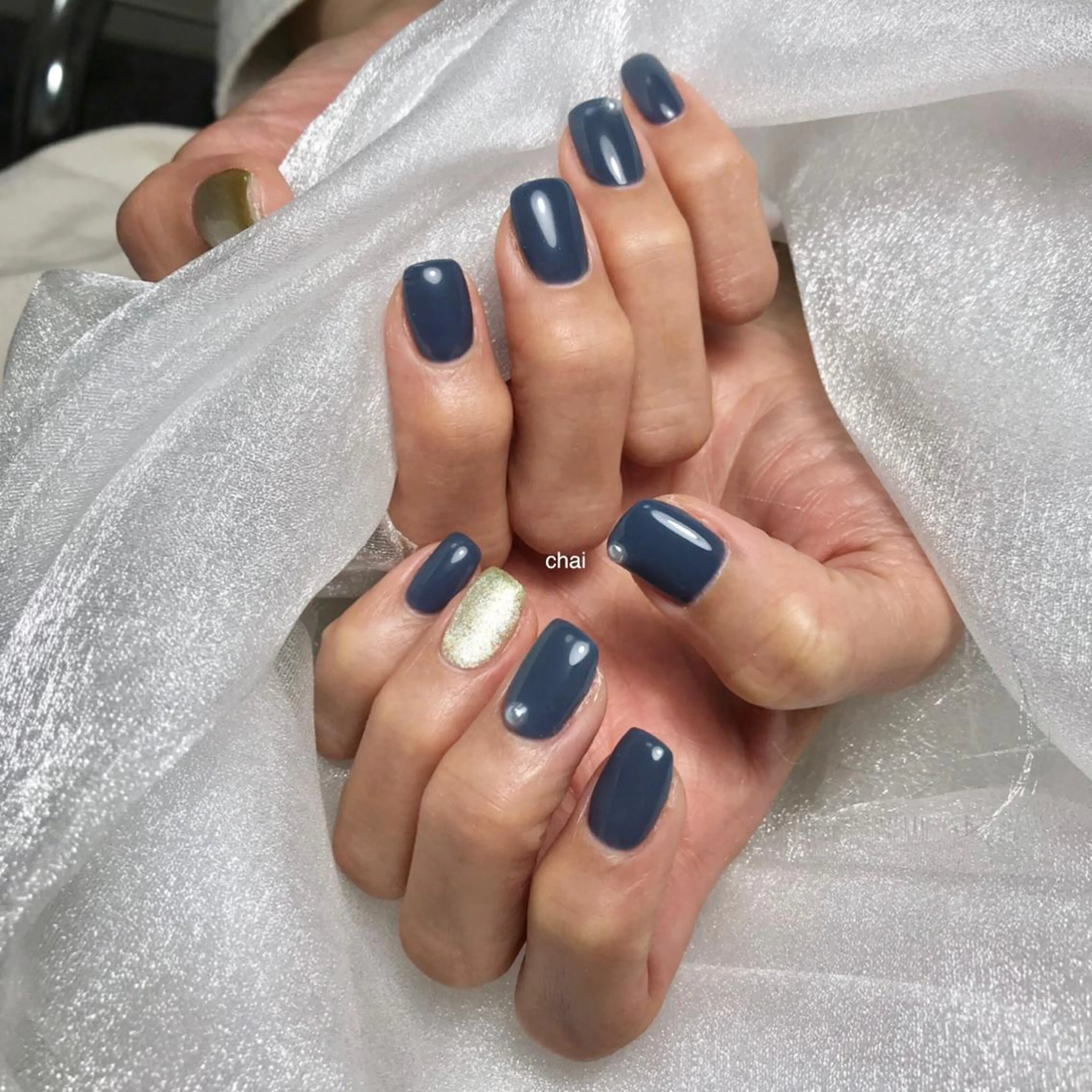 ネイル マグネットネイル ハンドネイル 💅 Ai.のネイルデザイン