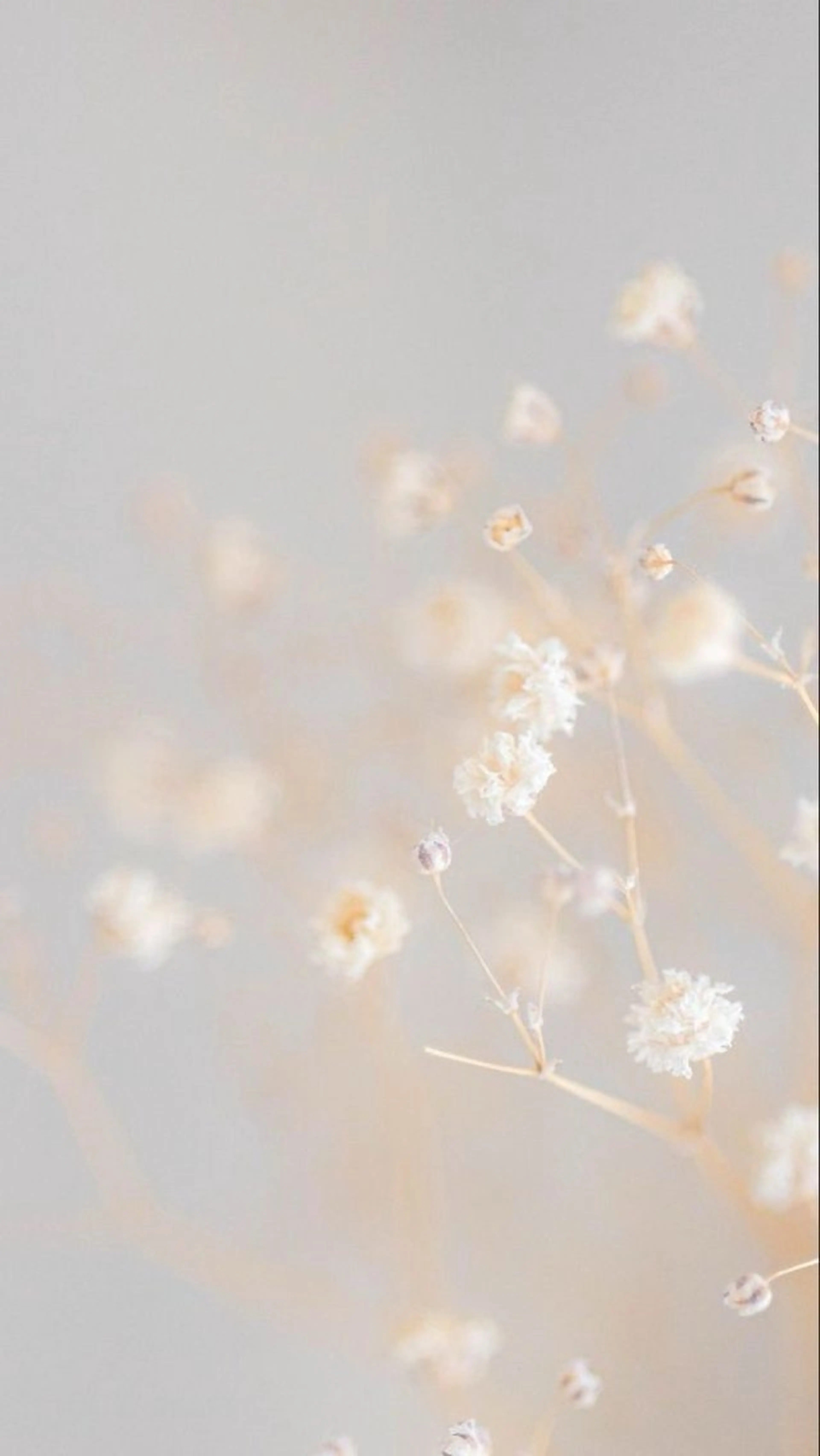 SUNNY 二俣川 yuri🌷のマツエク・マツパデザイン