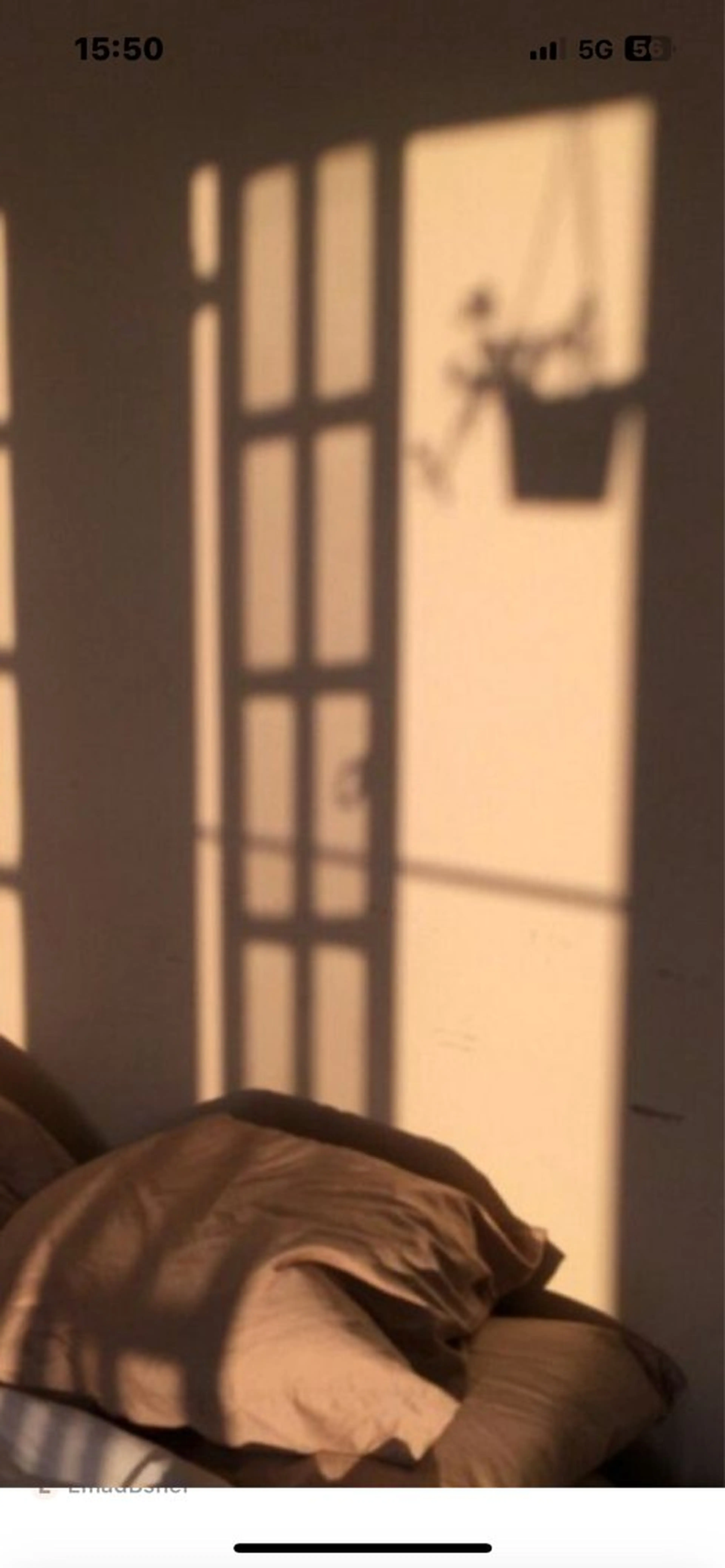 Mana ·͜·ᰔᩚのマツエク・マツパデザイン