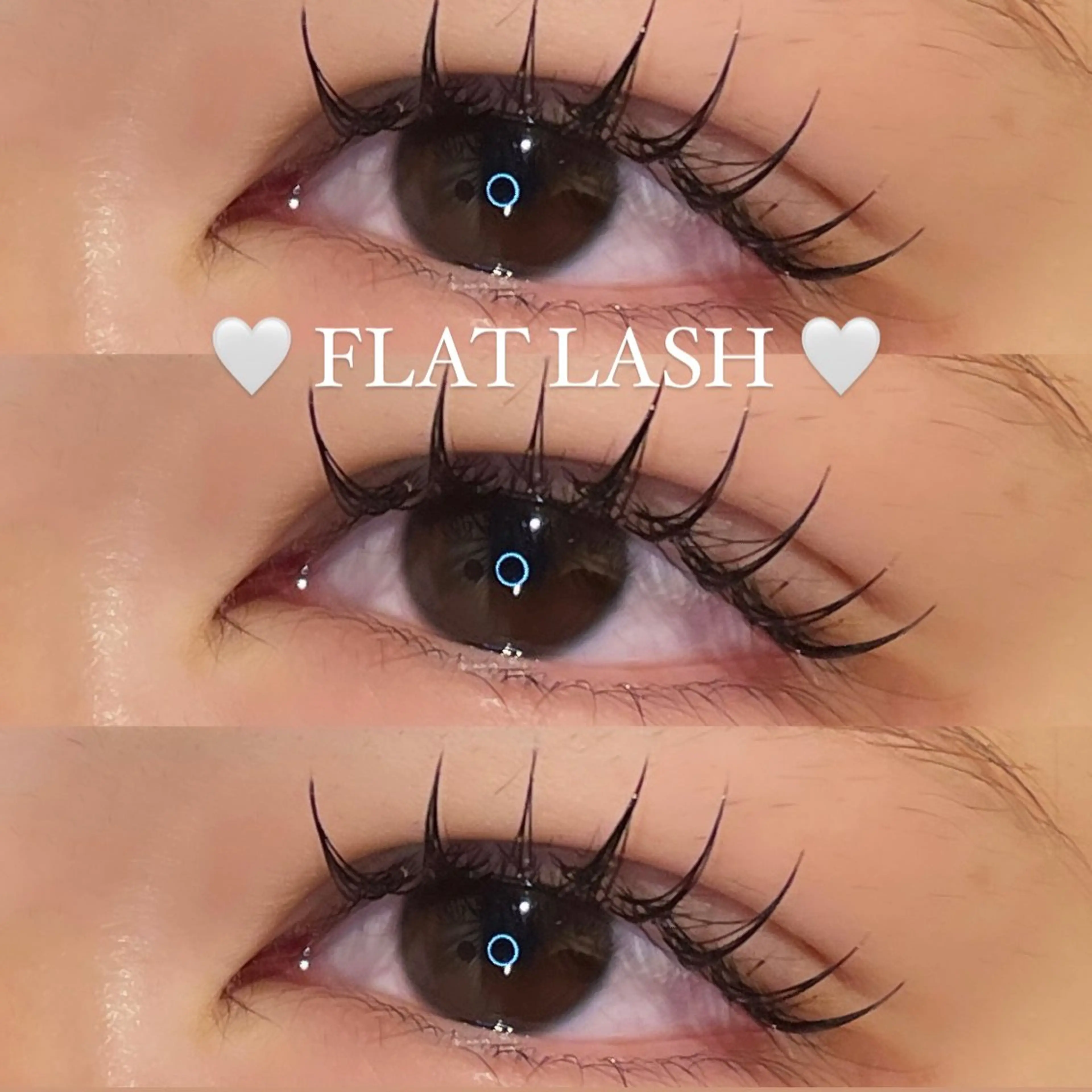 🤍【新規オフ無料】フラットラッシュorセーブル 140本🤍の写真