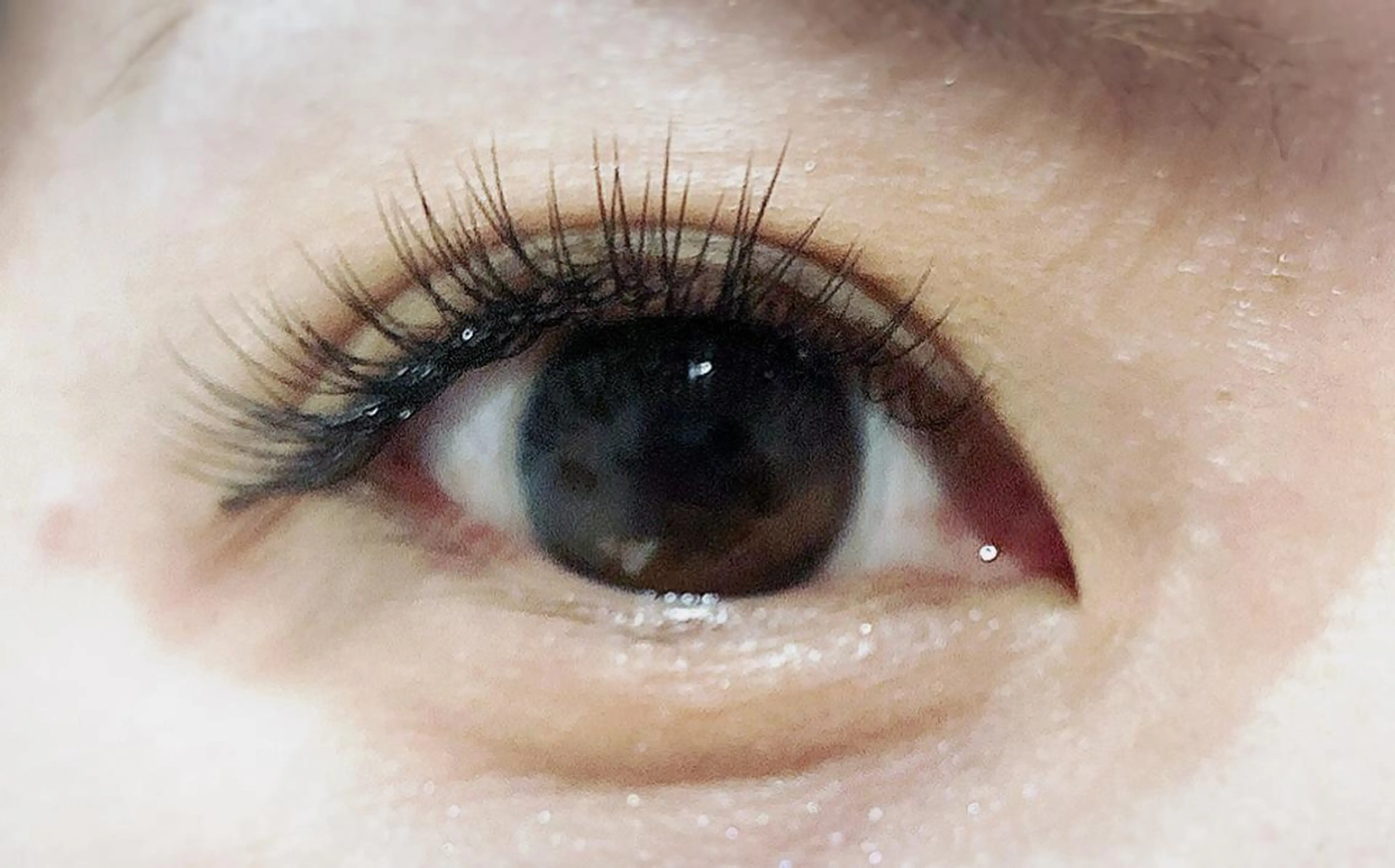 マツエク・マツパ セーブル LEDマツエク LeaLeaのマツエク・マツパデザイン