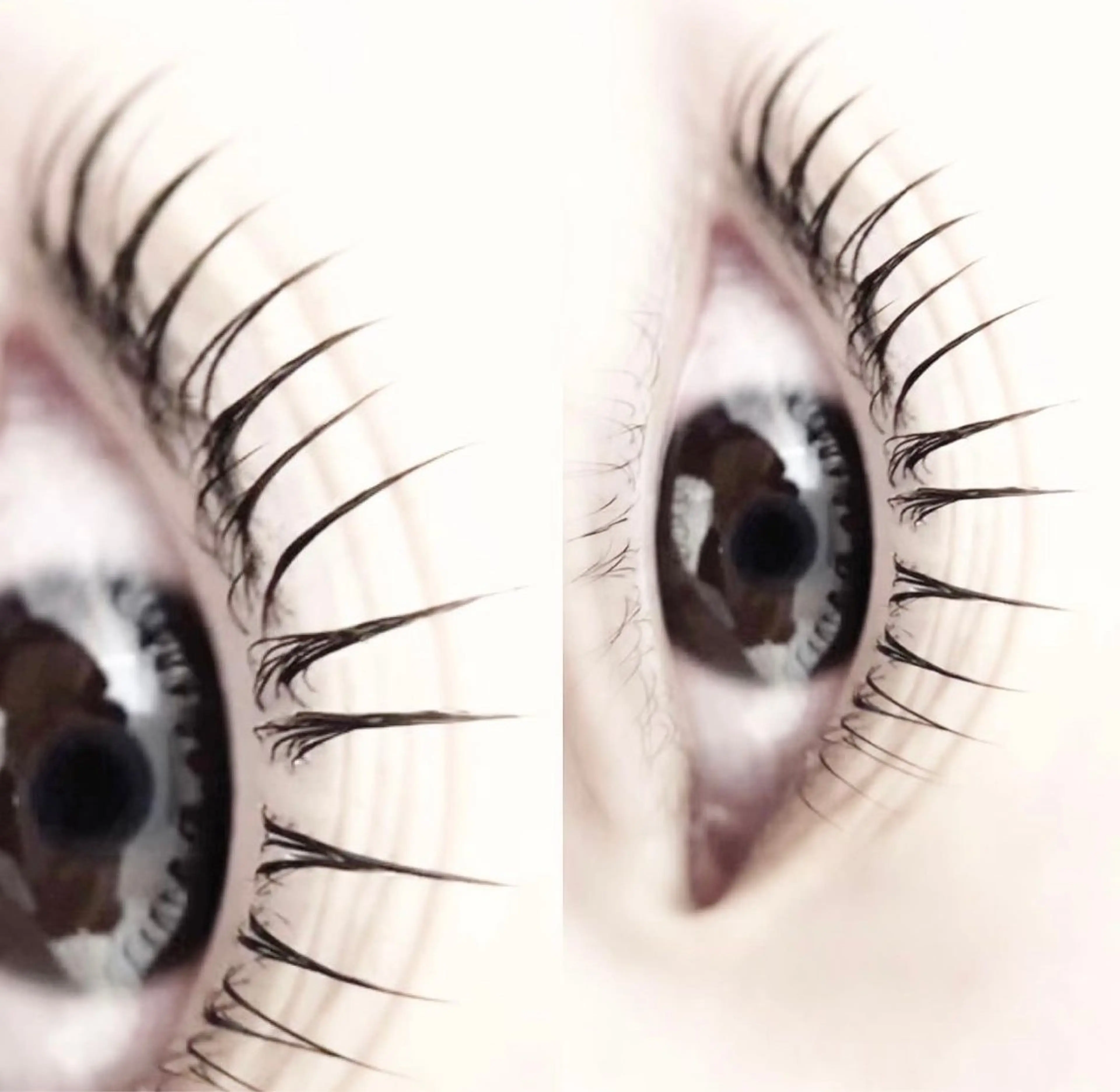 マツエク・マツパ M.LASH 🤍rinoの眉毛・アイブロウイメージ