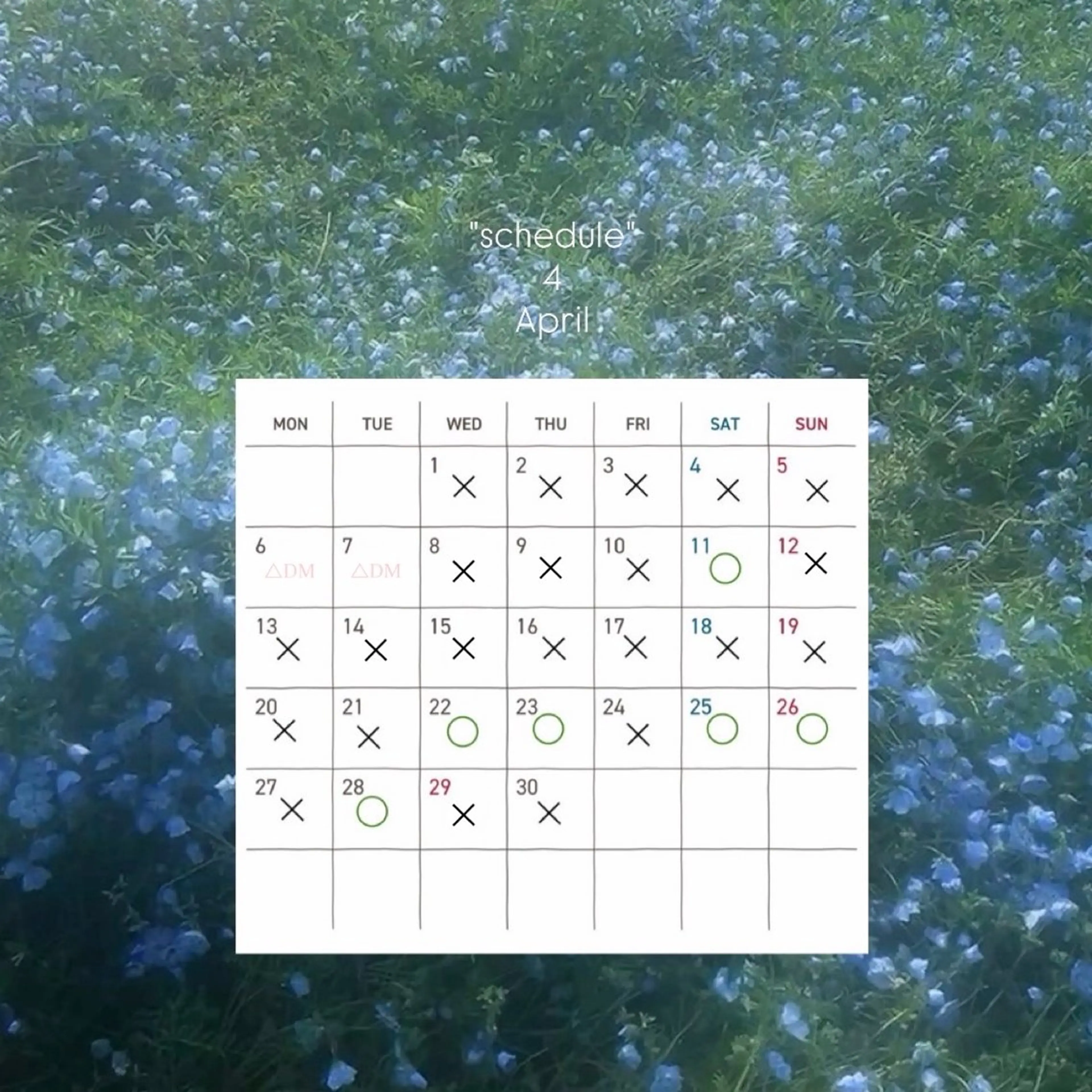 コワファースト長崎シャンプーボーイ所属・カラーモデル募集中 🫧HONOKAのヘアスタイル