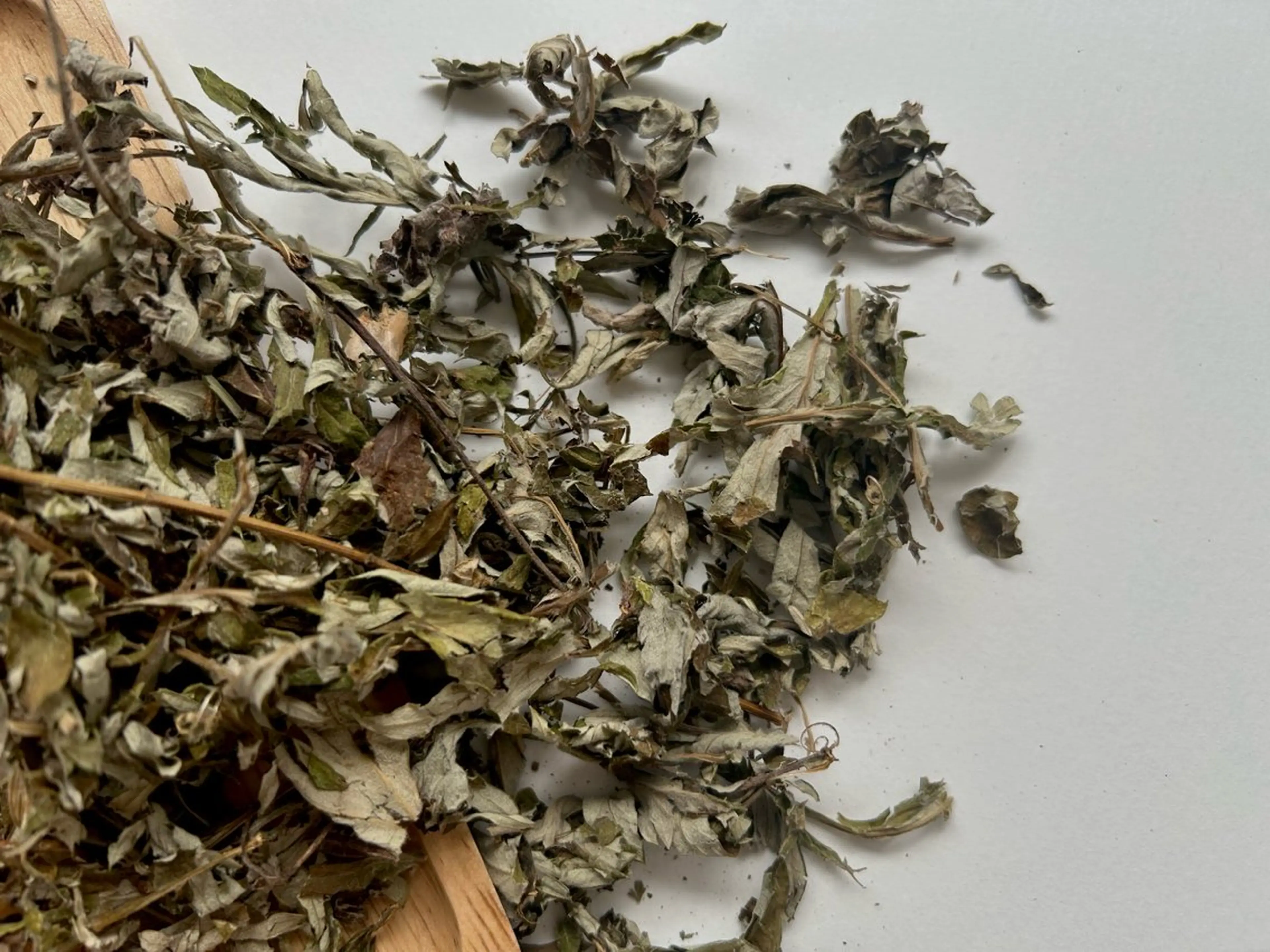 その他 よもぎ蒸し/上井草 アロマ/ドライヘッドのエステ・リラクイメージ