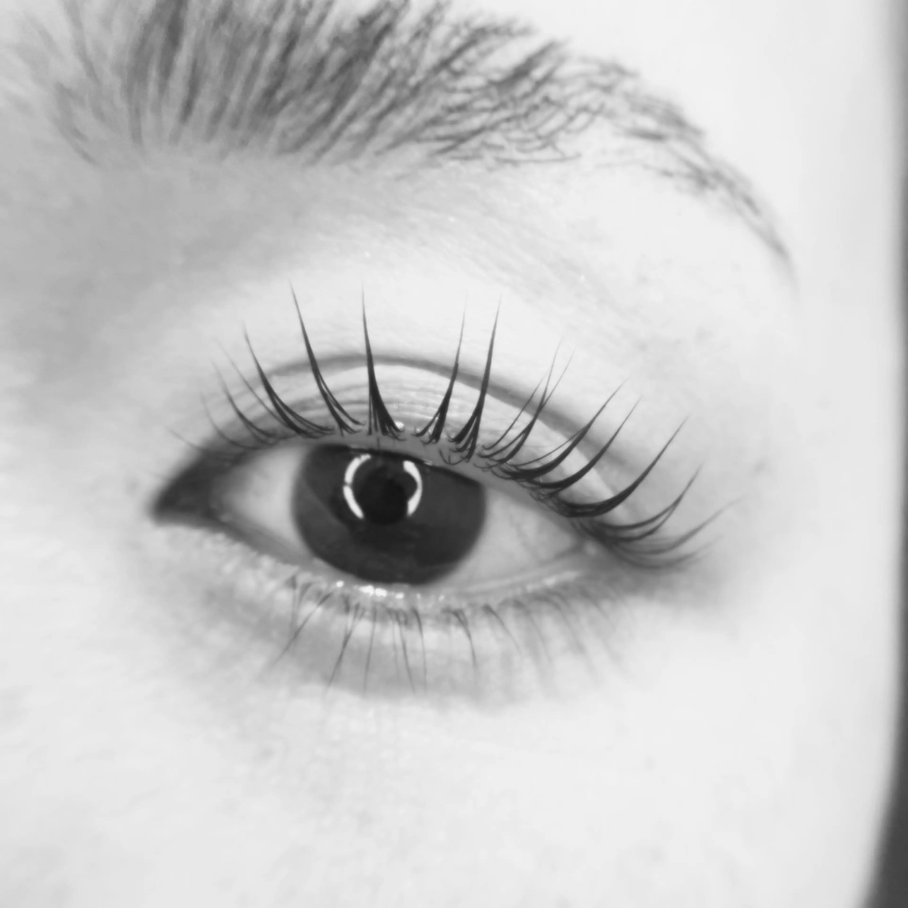 マツエク・マツパ diarblue 平塚のマツエク・マツパデザイン