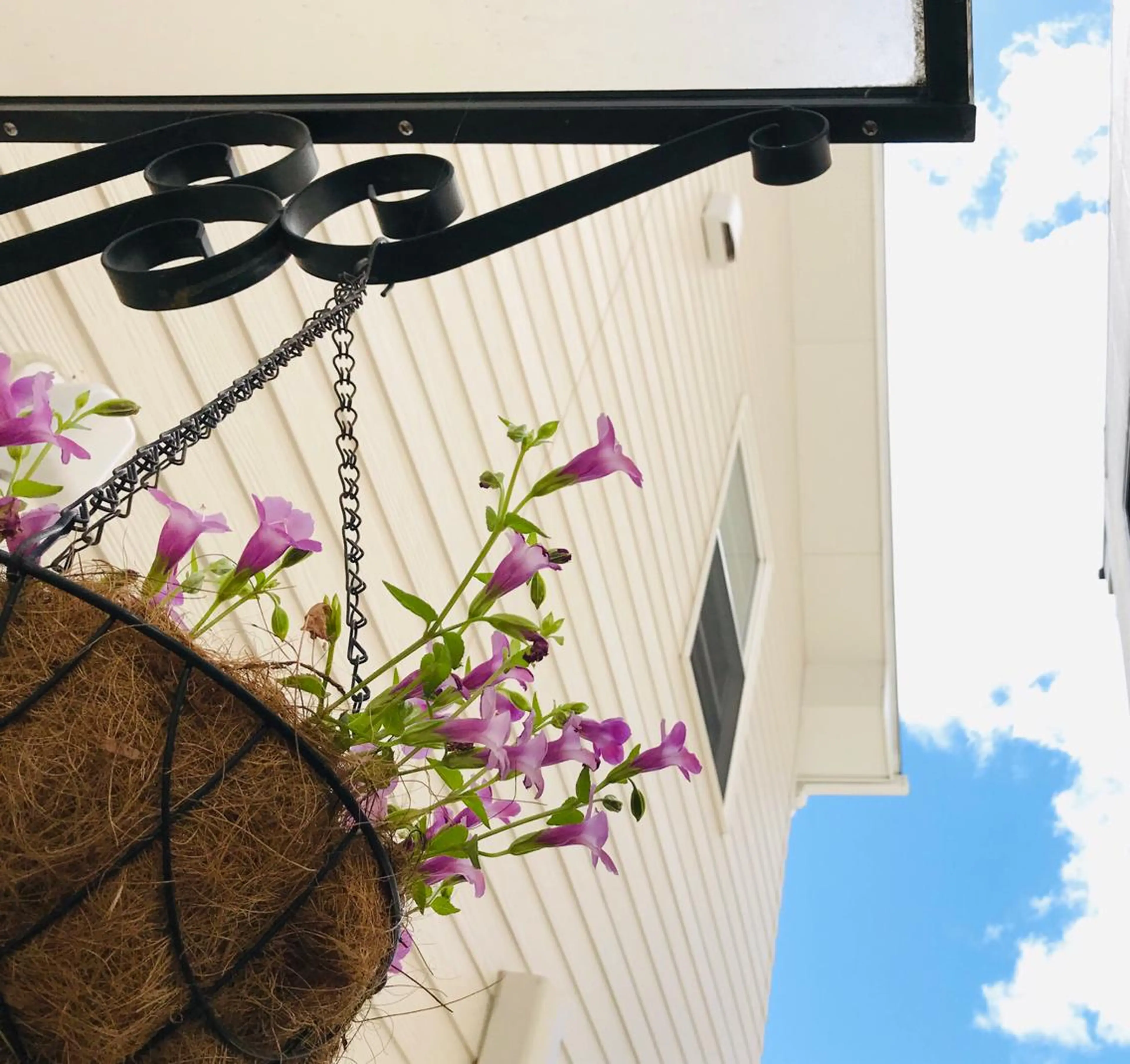 マツエク・マツパ Eyelash \\美濃加茂//伊藤のマツエク・マツパデザイン