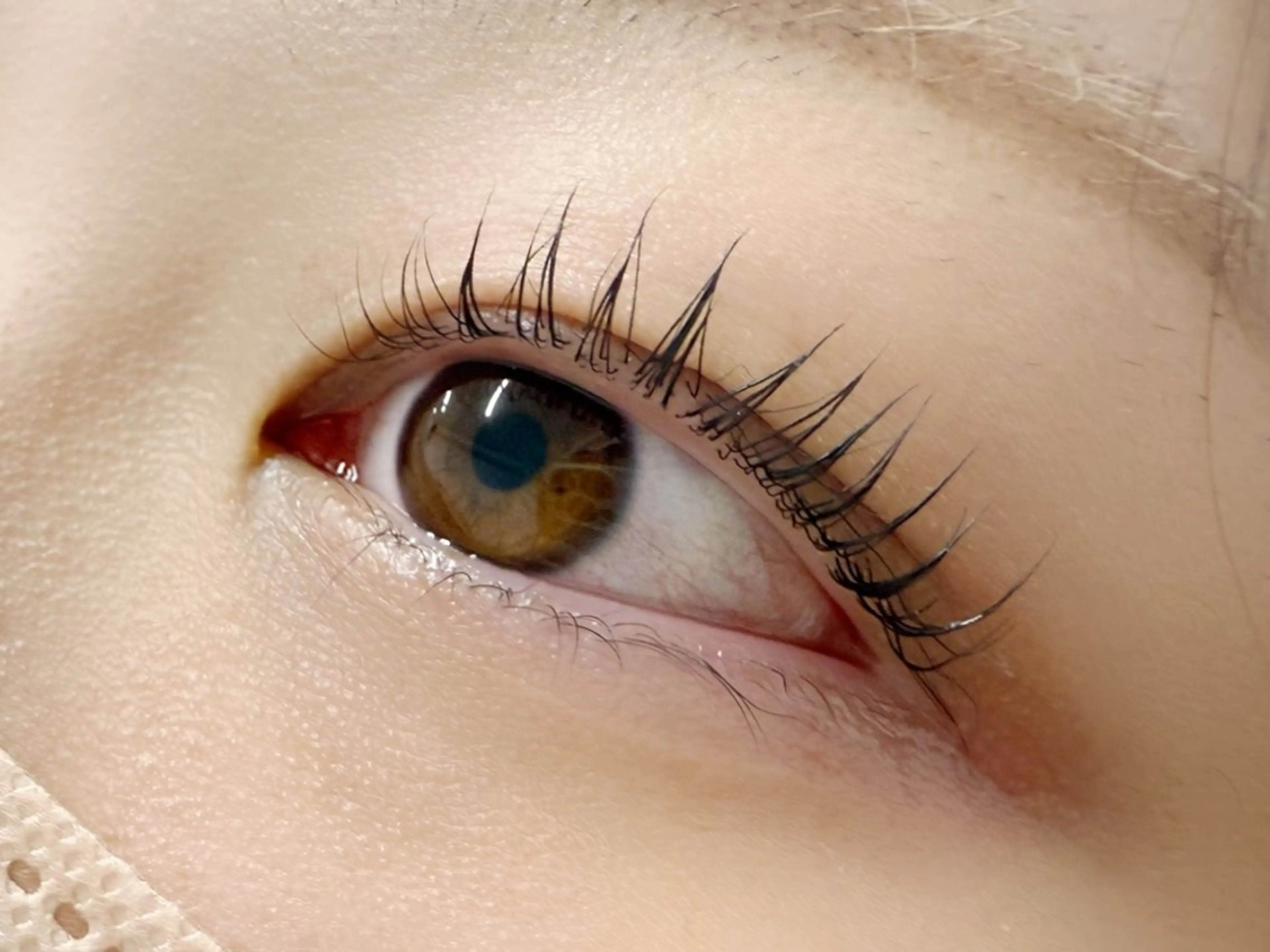 《SNS写真掲載OKの方限定》ラッシュリフト✨7,370→3,000の写真