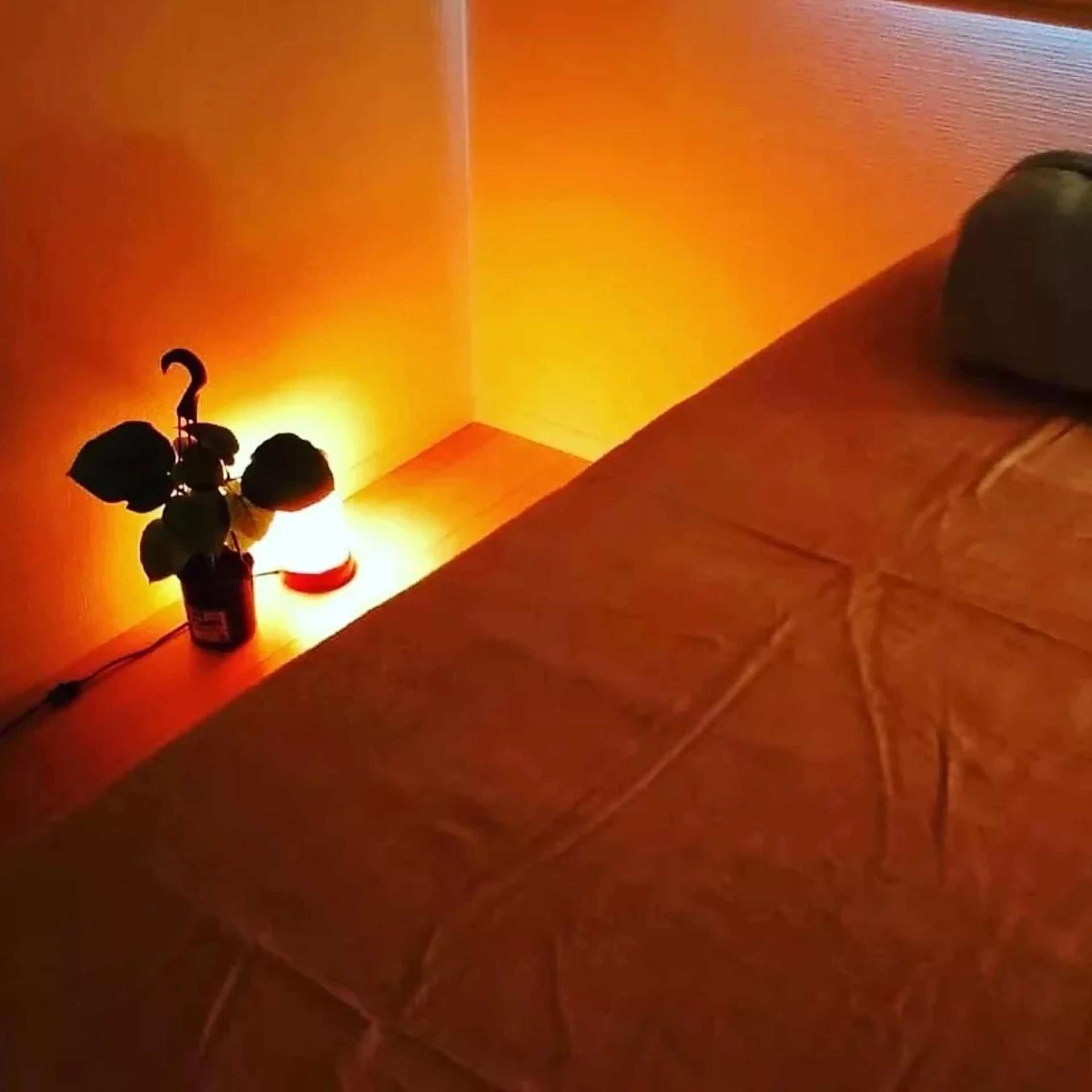 🌺90分コースレイキアロマトリートメント  ボディ全身しっかり※ご希望の方はおまけでカードリーディング相談１件付の写真