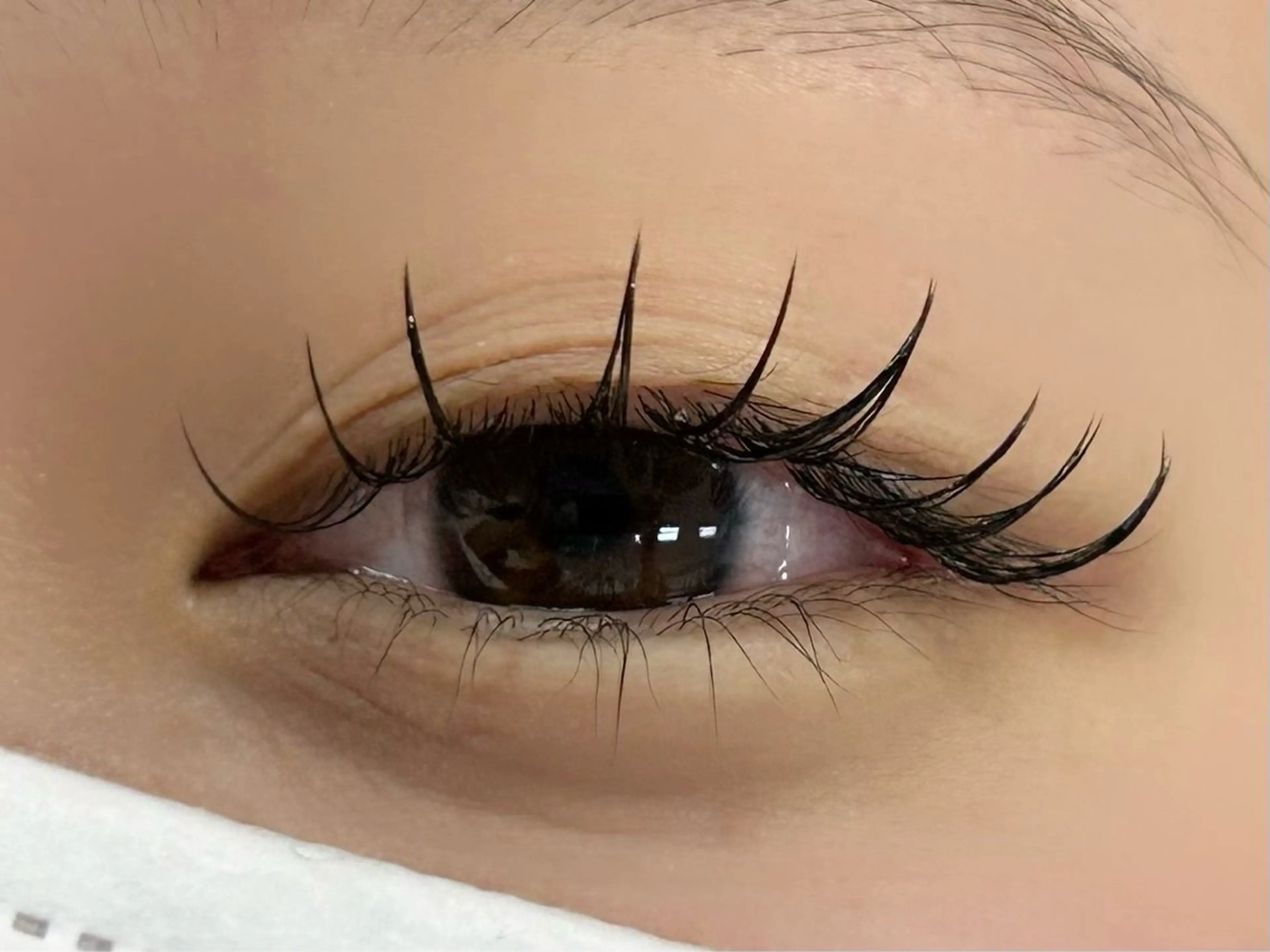 マツエク・マツパ seran EYELAのマツエク・マツパデザイン