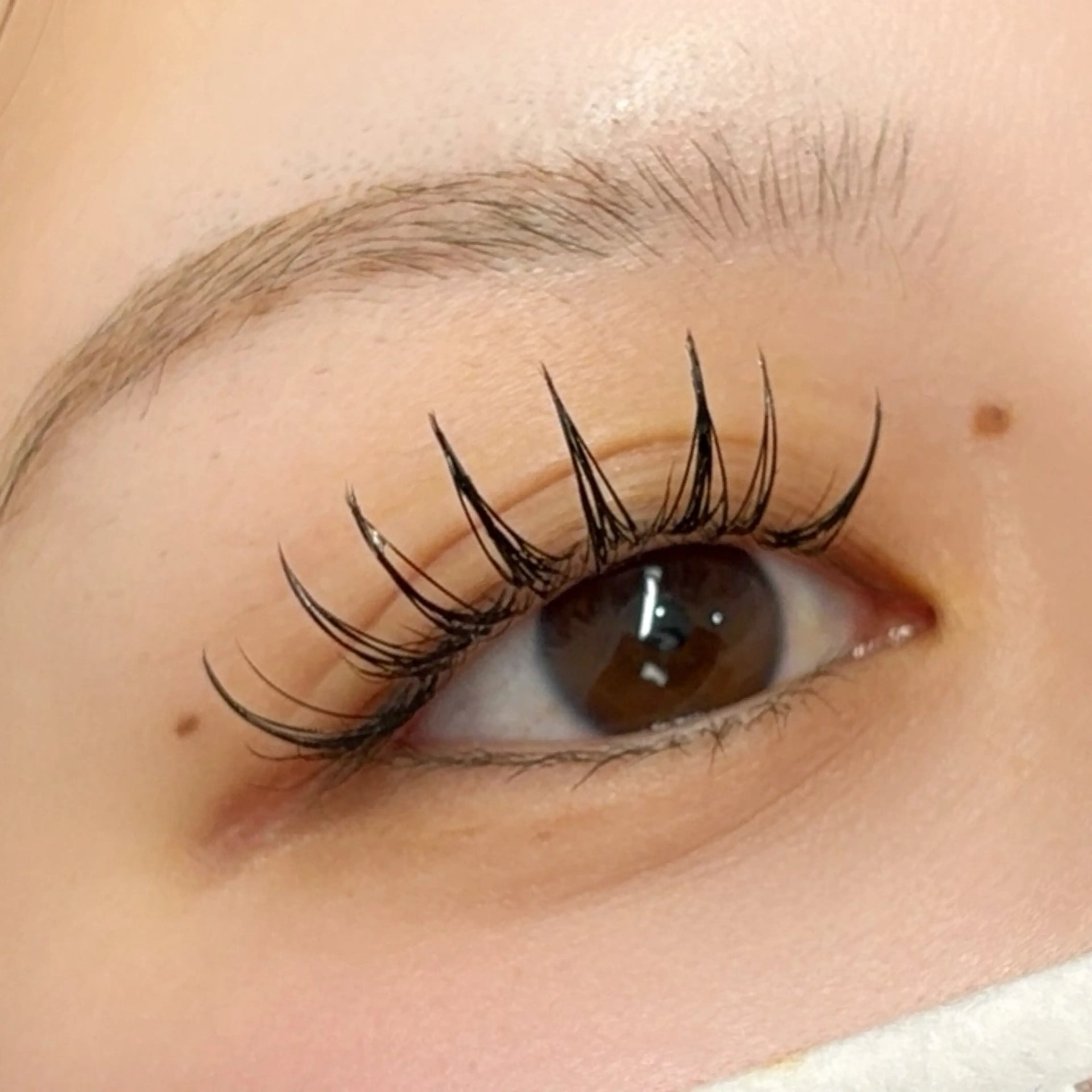 マツエク・マツパ sHeeR【シアー】 ハマナカのマツエク・マツパデザイン