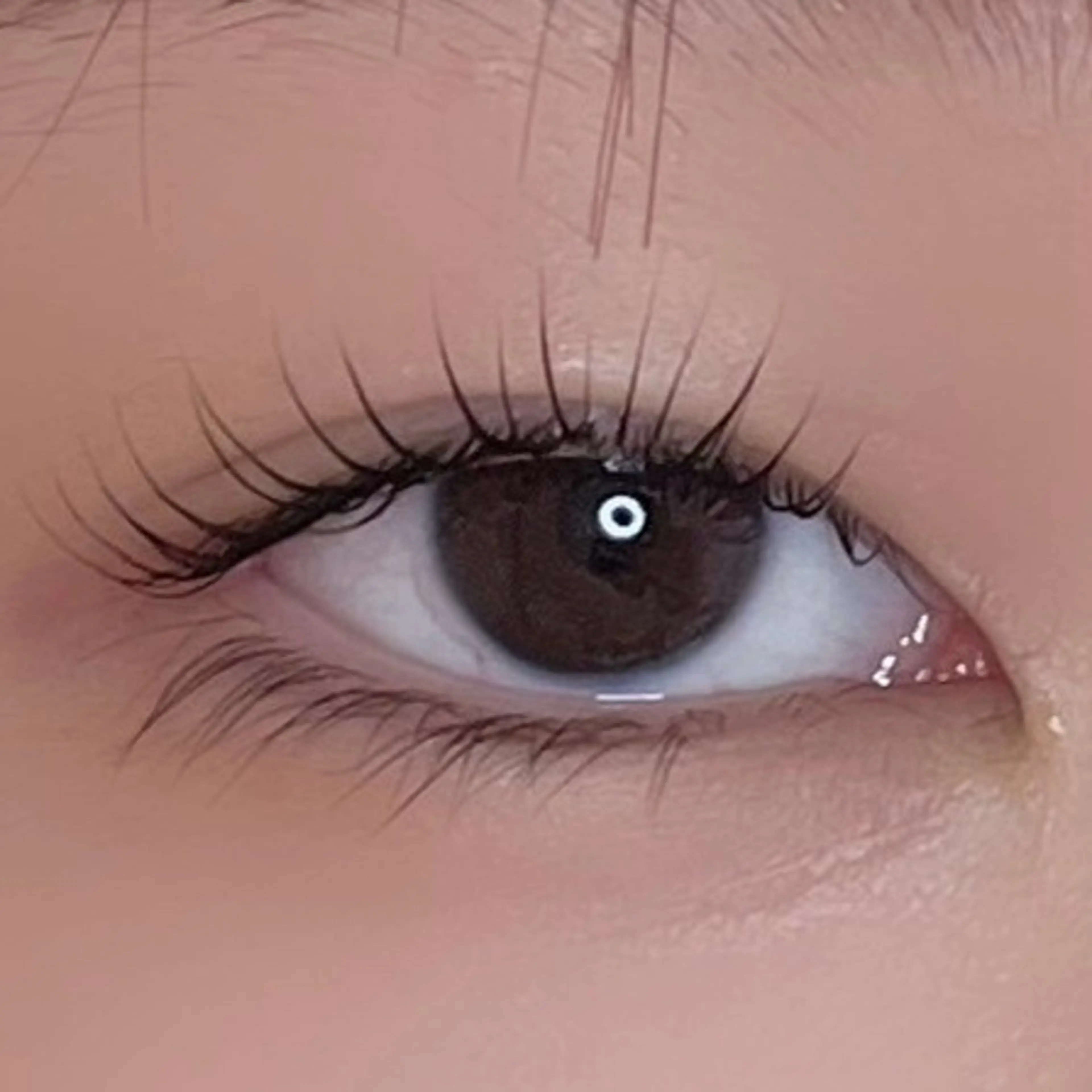 マツエク・マツパ 韓国風マツエク パリジェンヌラッシュリフト maisondecharme所属・charme TOMOYOのマツエク・マツパデザイン