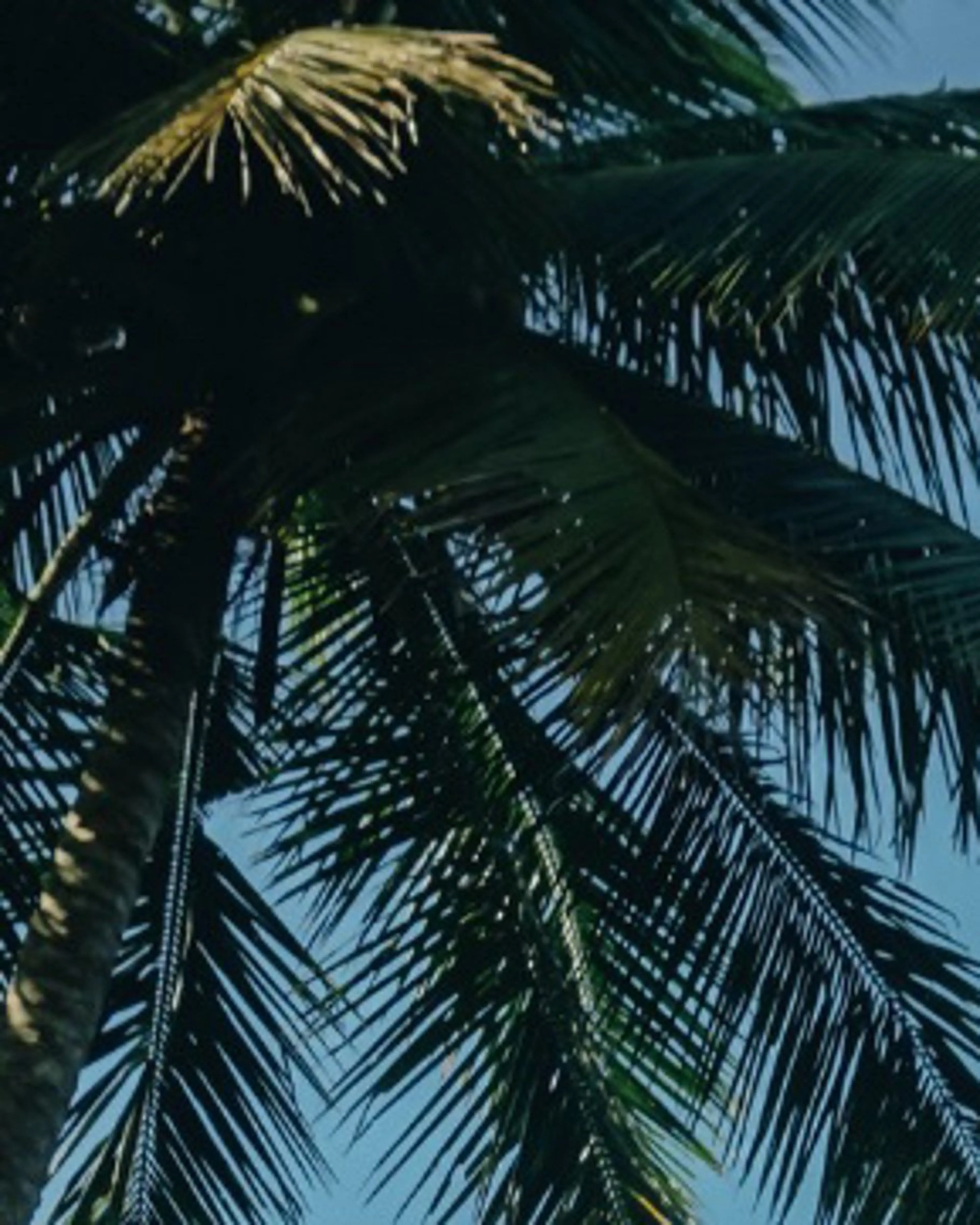 ブラジリアン☆WAX 🎖🌚YUKI🌚のエステ・リラクイメージ