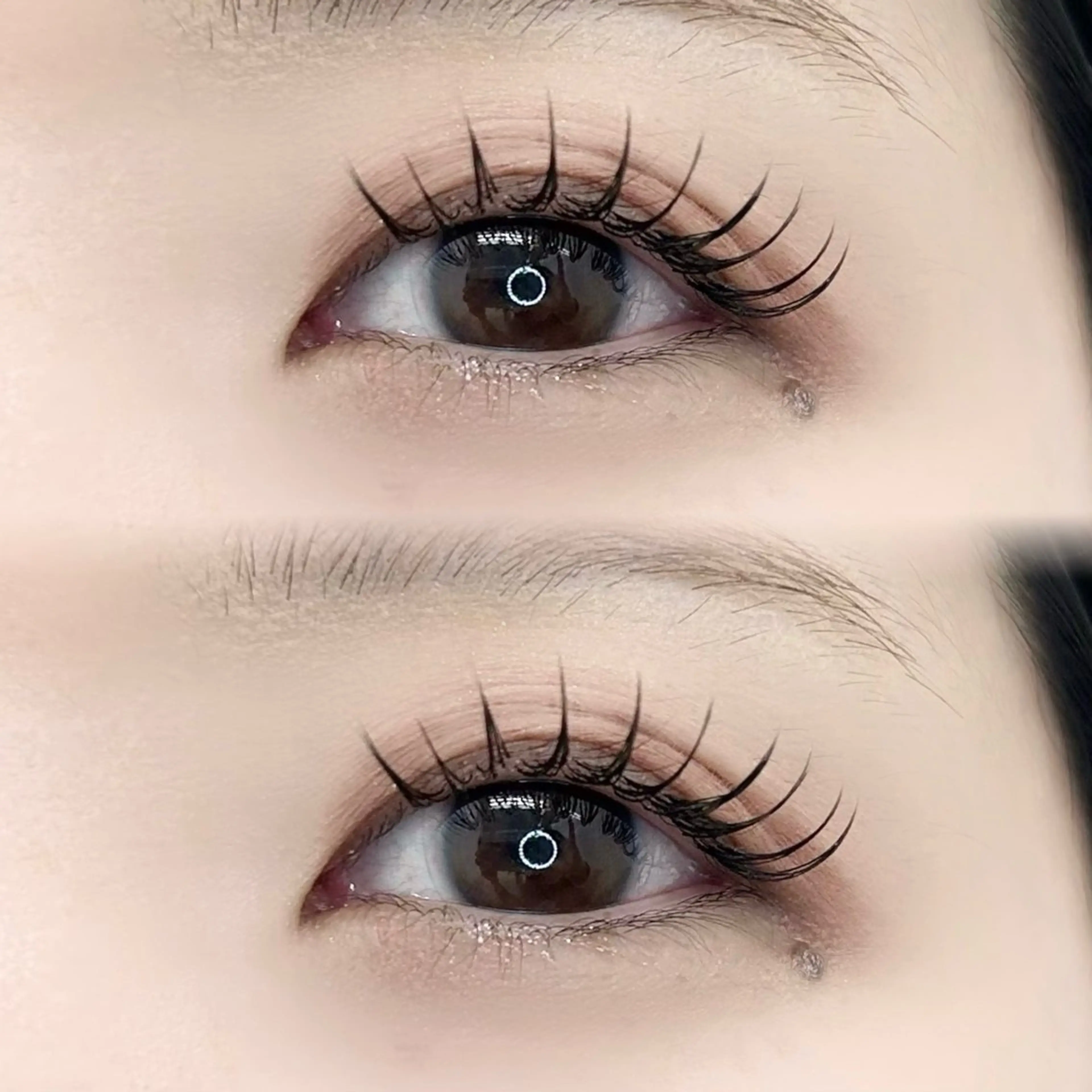 フラットマットラッシュ140本の写真