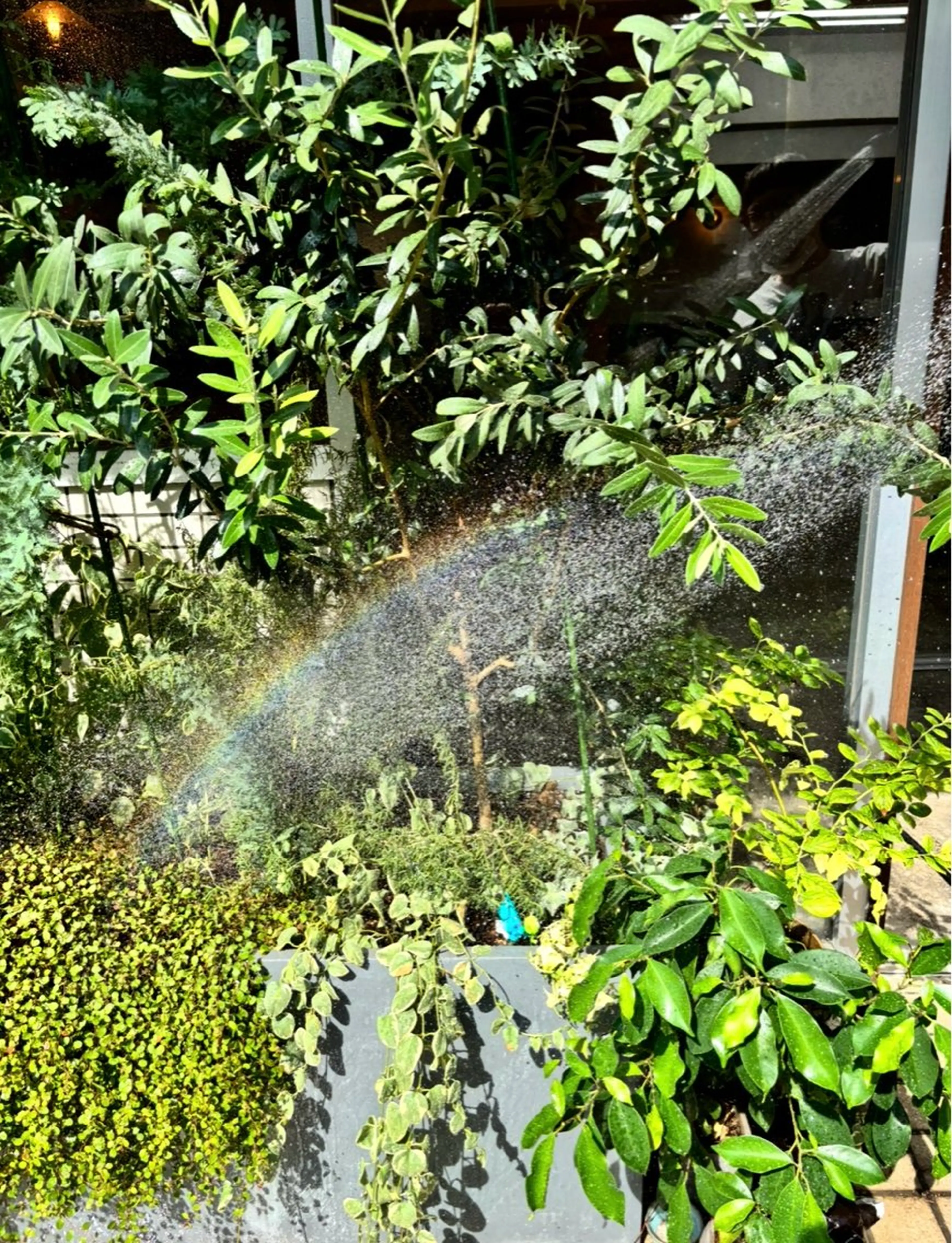 ihori所属・中村 芽衣那のヘアスタイル