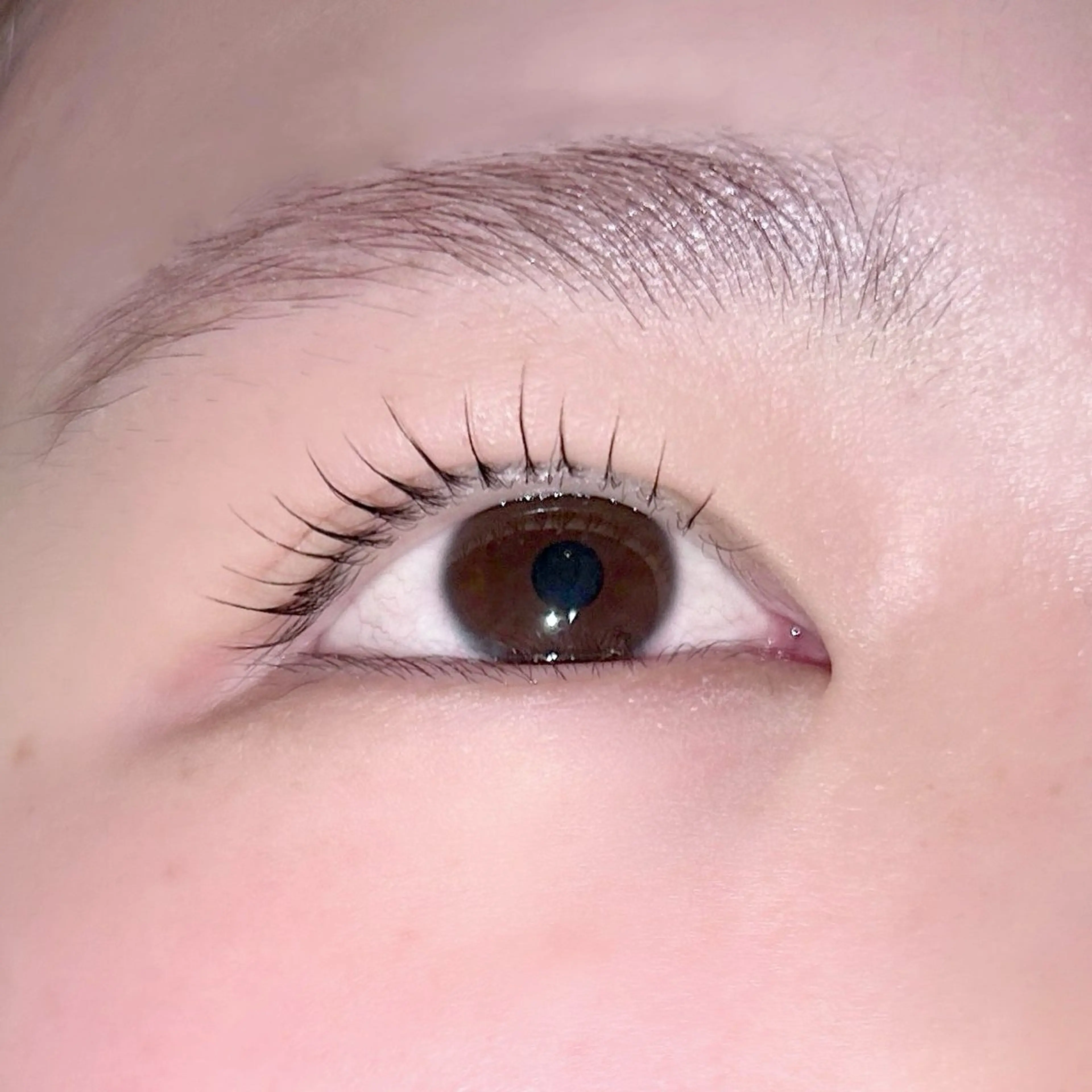 マツエク・マツパ 束感まつ毛 belmina 【大名】のマツエク・マツパデザイン